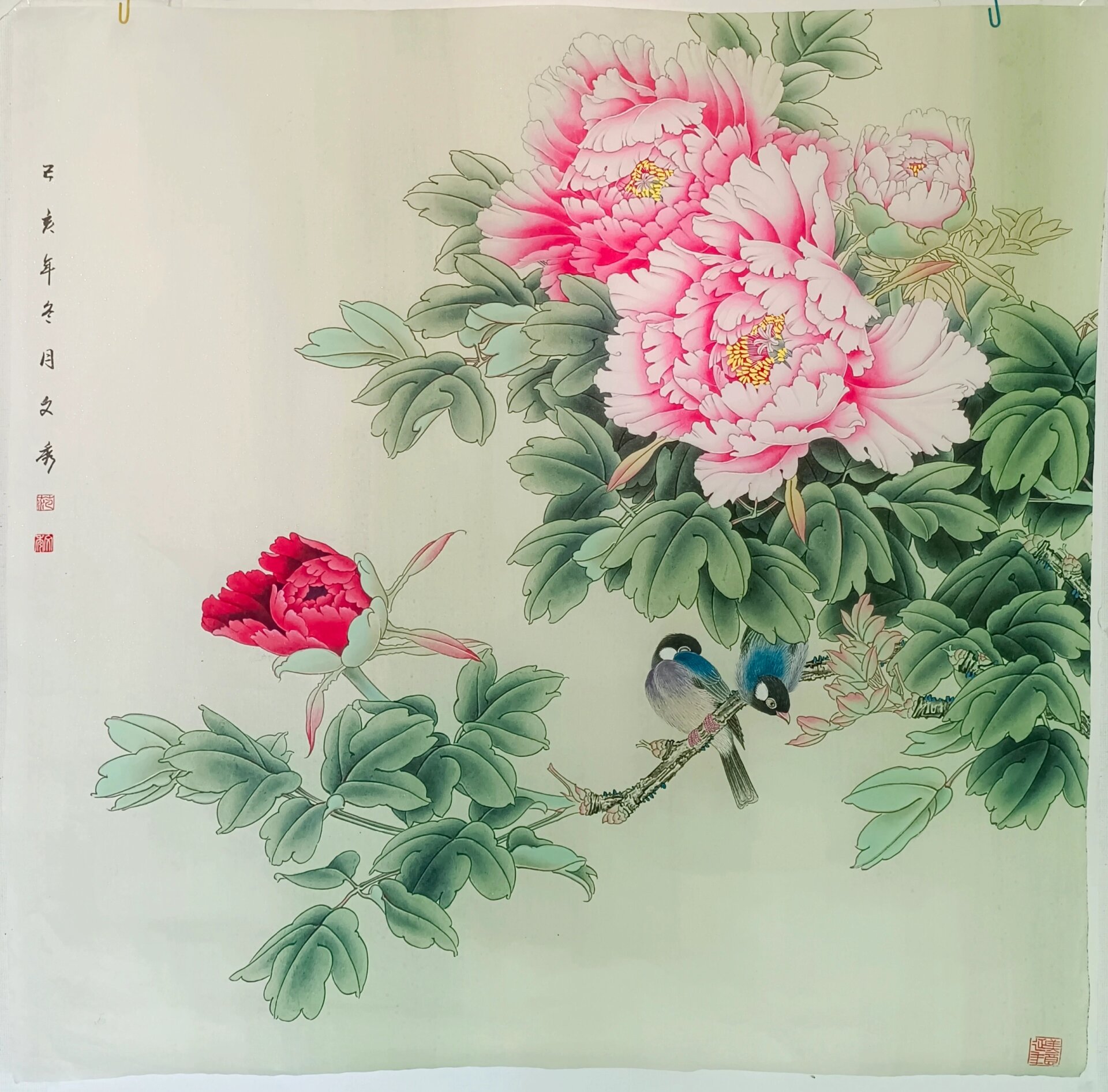 四尺斗方工笔画牡丹