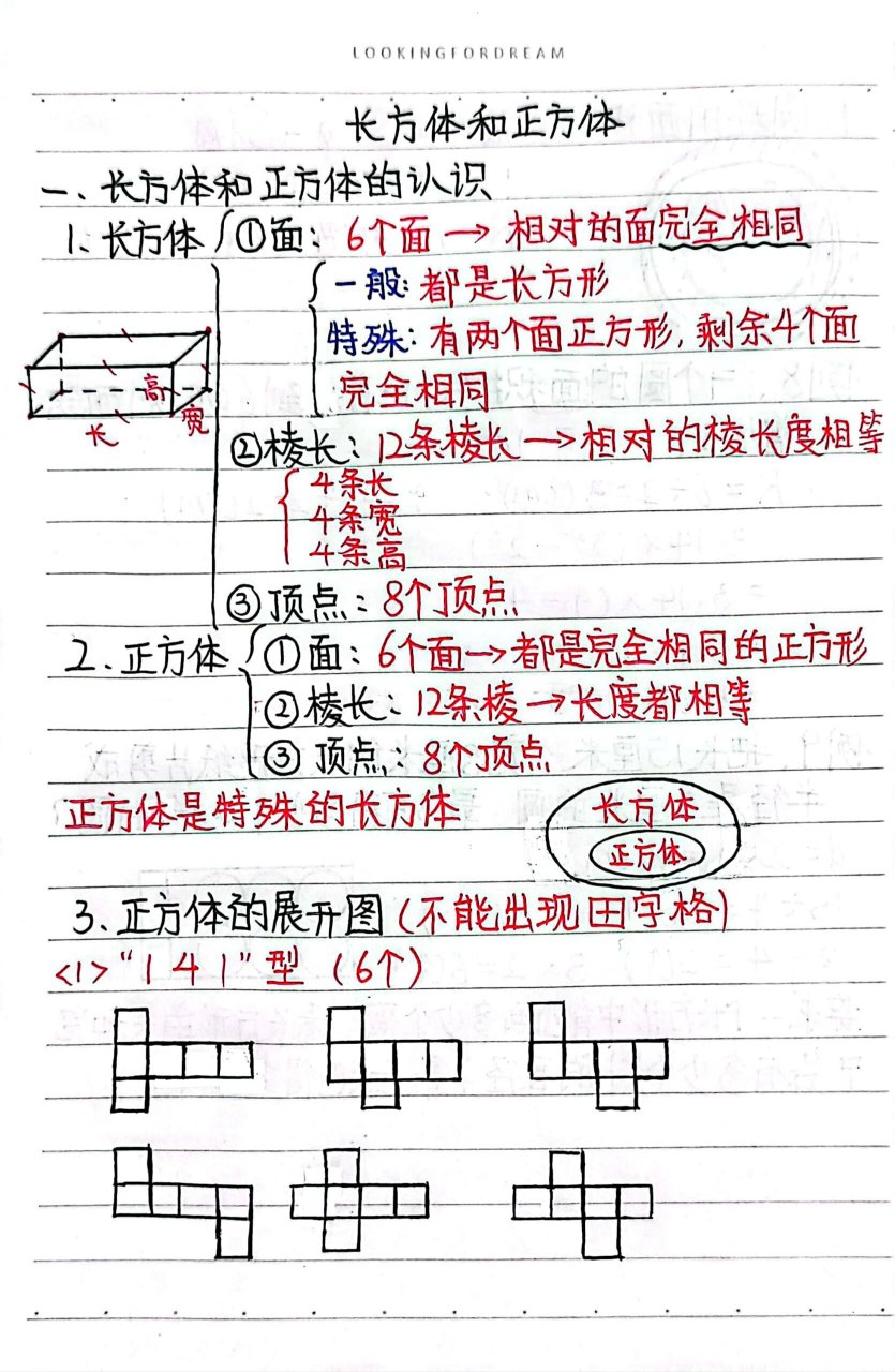 长方体正方体知识点图片