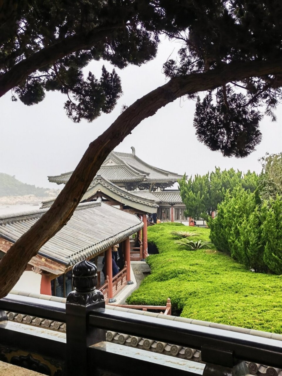 南海观音/紫竹林/不肯去观音院 南海观音  先拜观音后拜佛,参拜南海