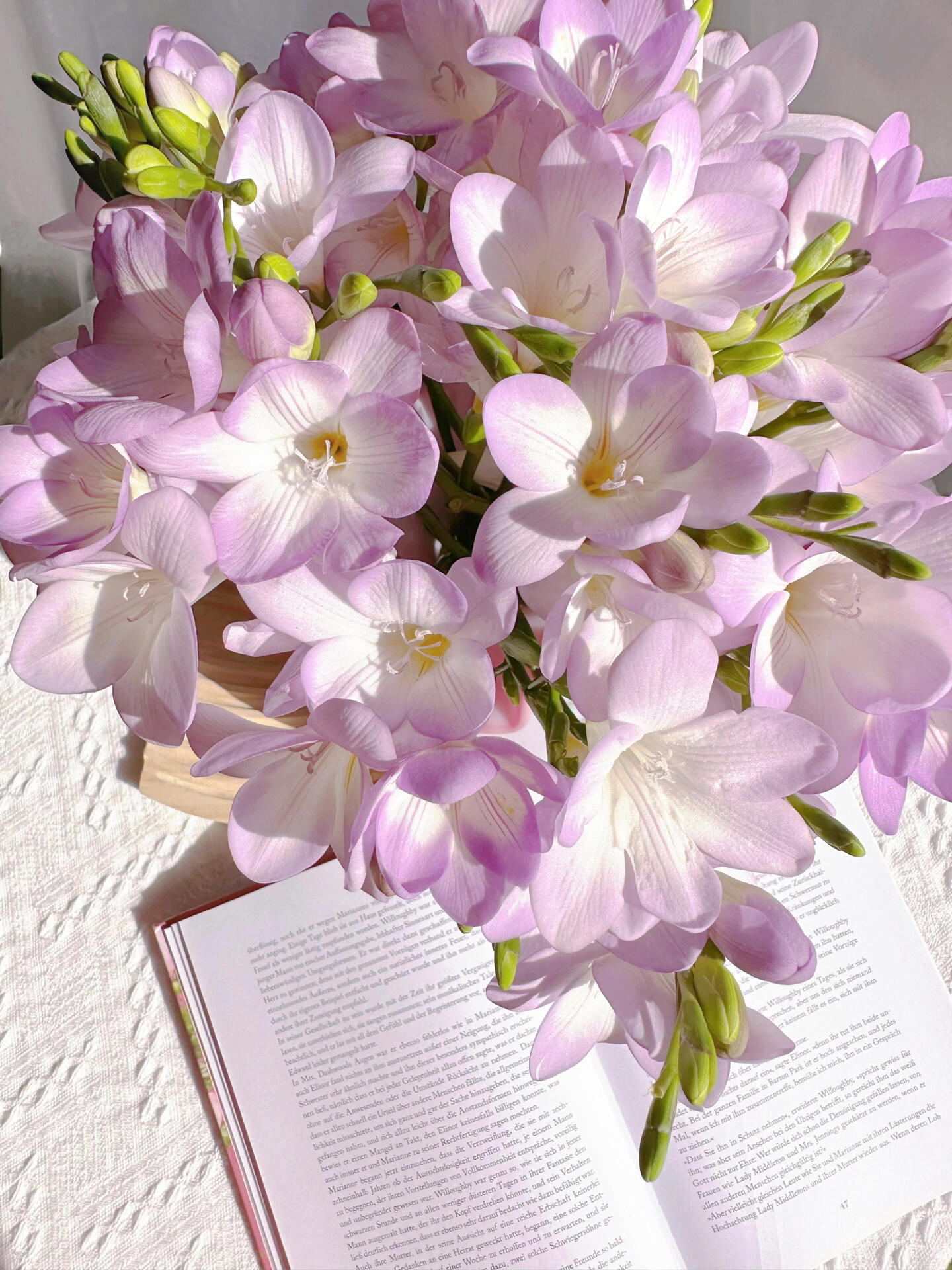 小苍兰,她有一个很好的花语,纯洁的爱只给你