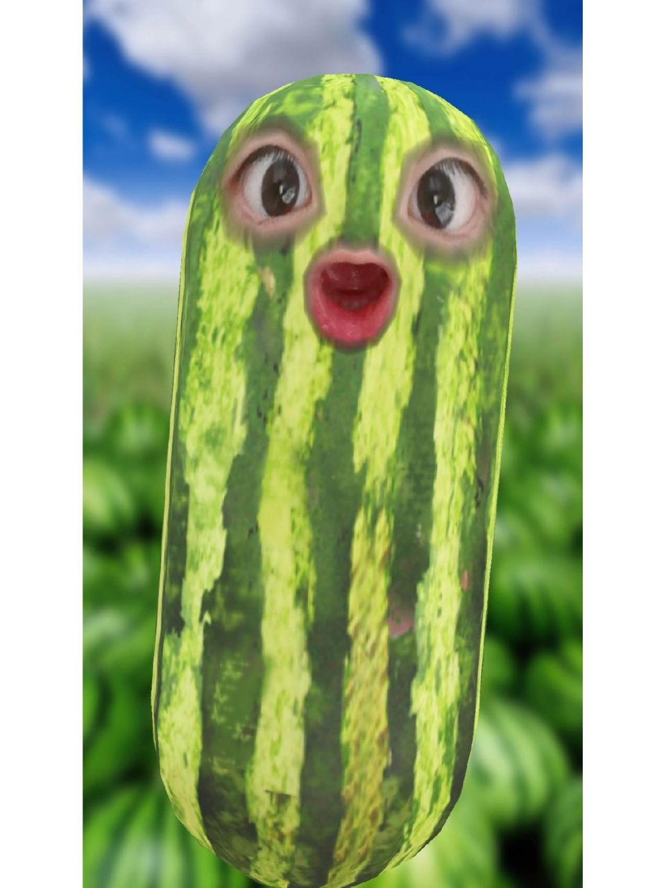 超长西瓜特效表情包