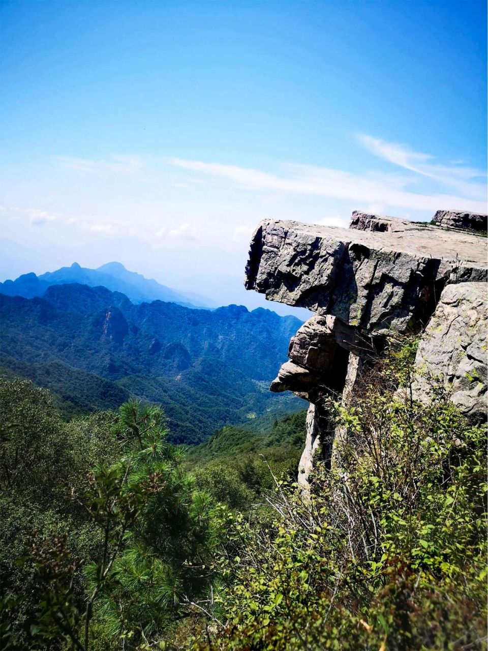 沁水历山|难得一见!华北最后一块原始森林 举头高山近,极目乱峰低.