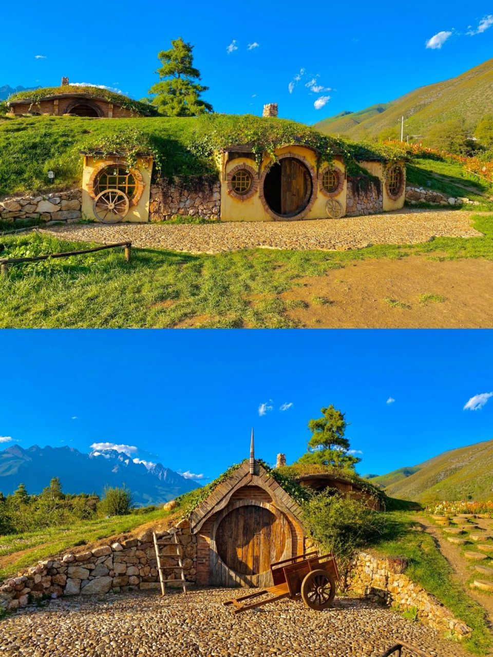 丽江|听花谷～雪山脚下的童话 又来丽江啦～现在人很少～ 听花谷门票