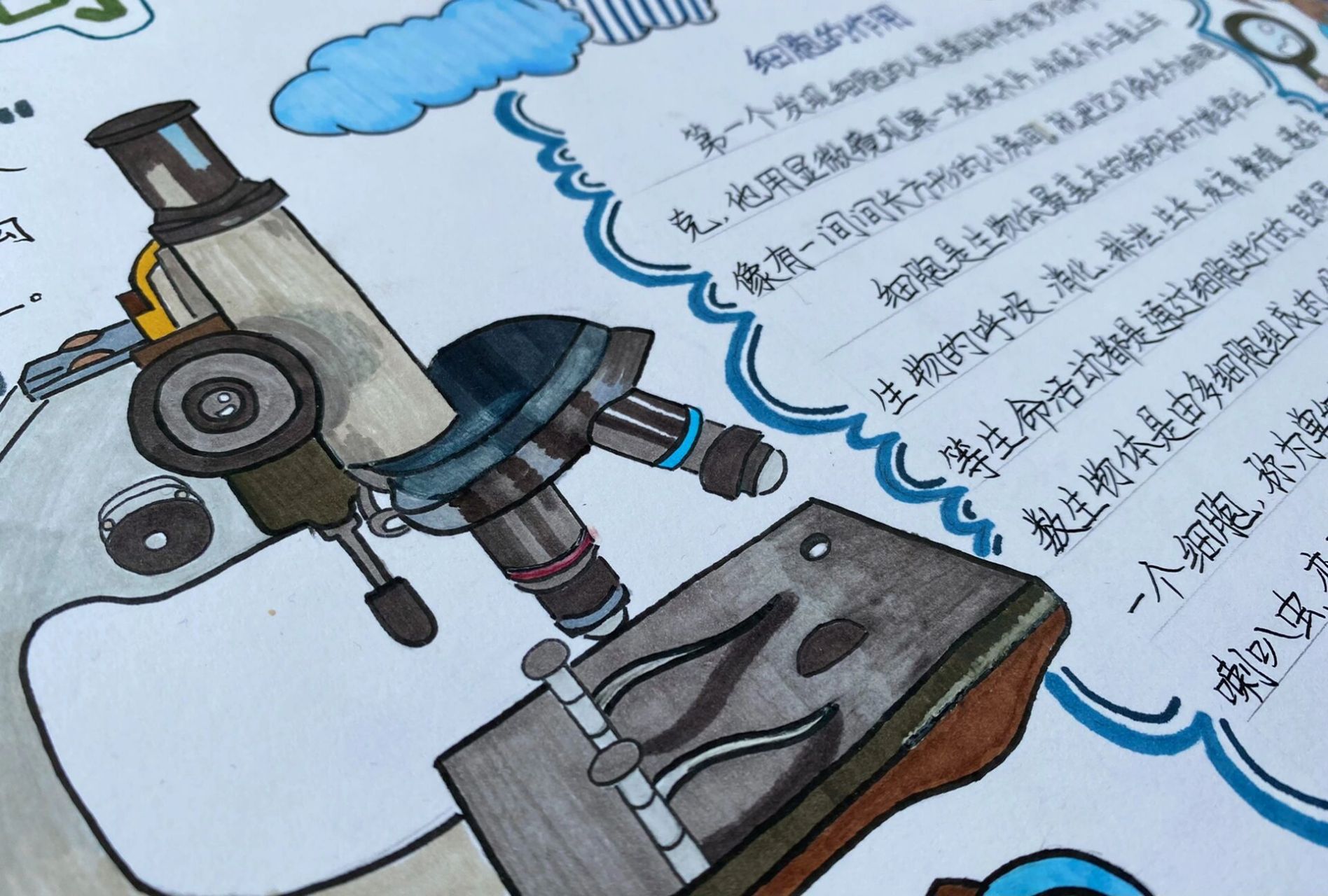 科学小报#小学六年级上册细胞手抄报