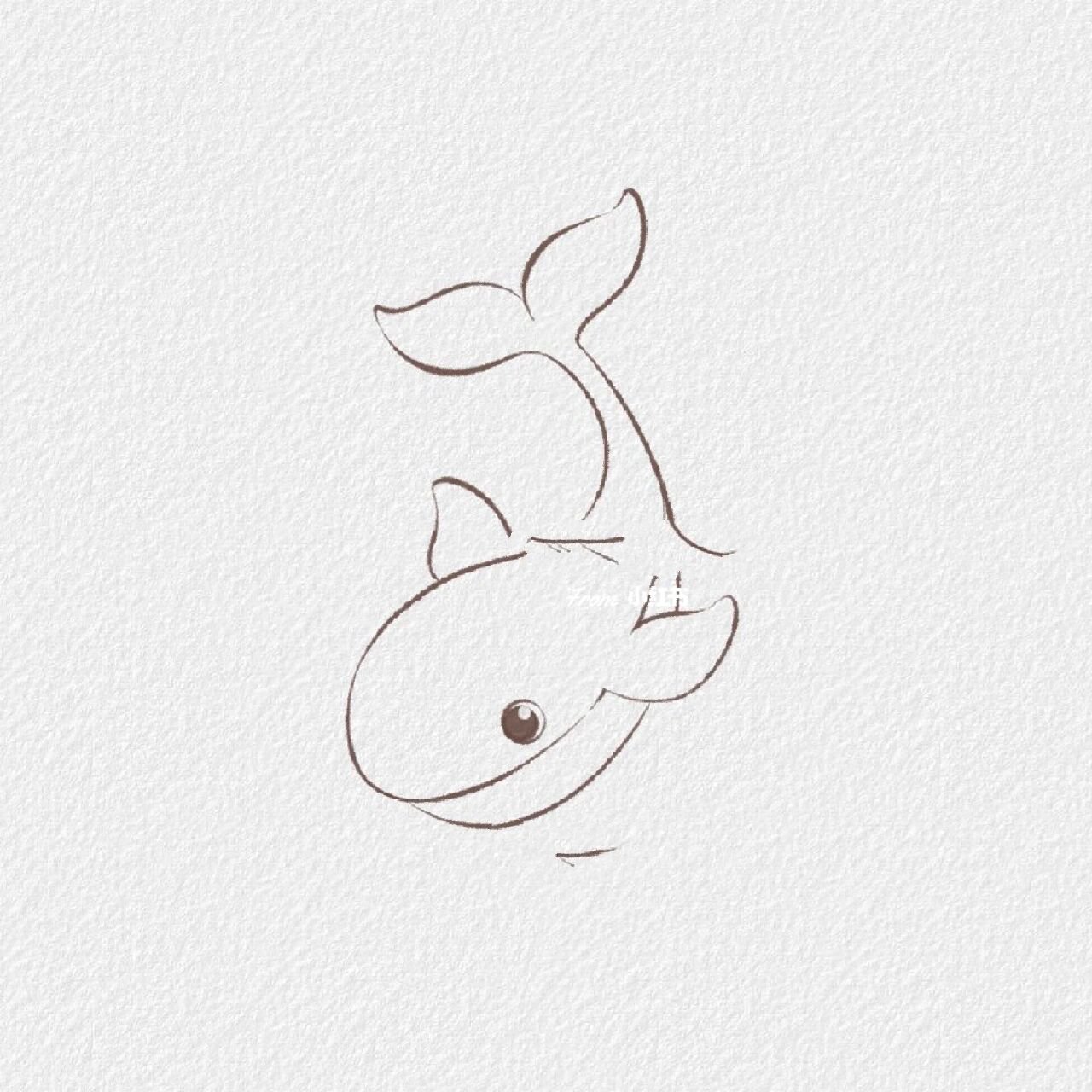 鲸鱼图画 画画图片