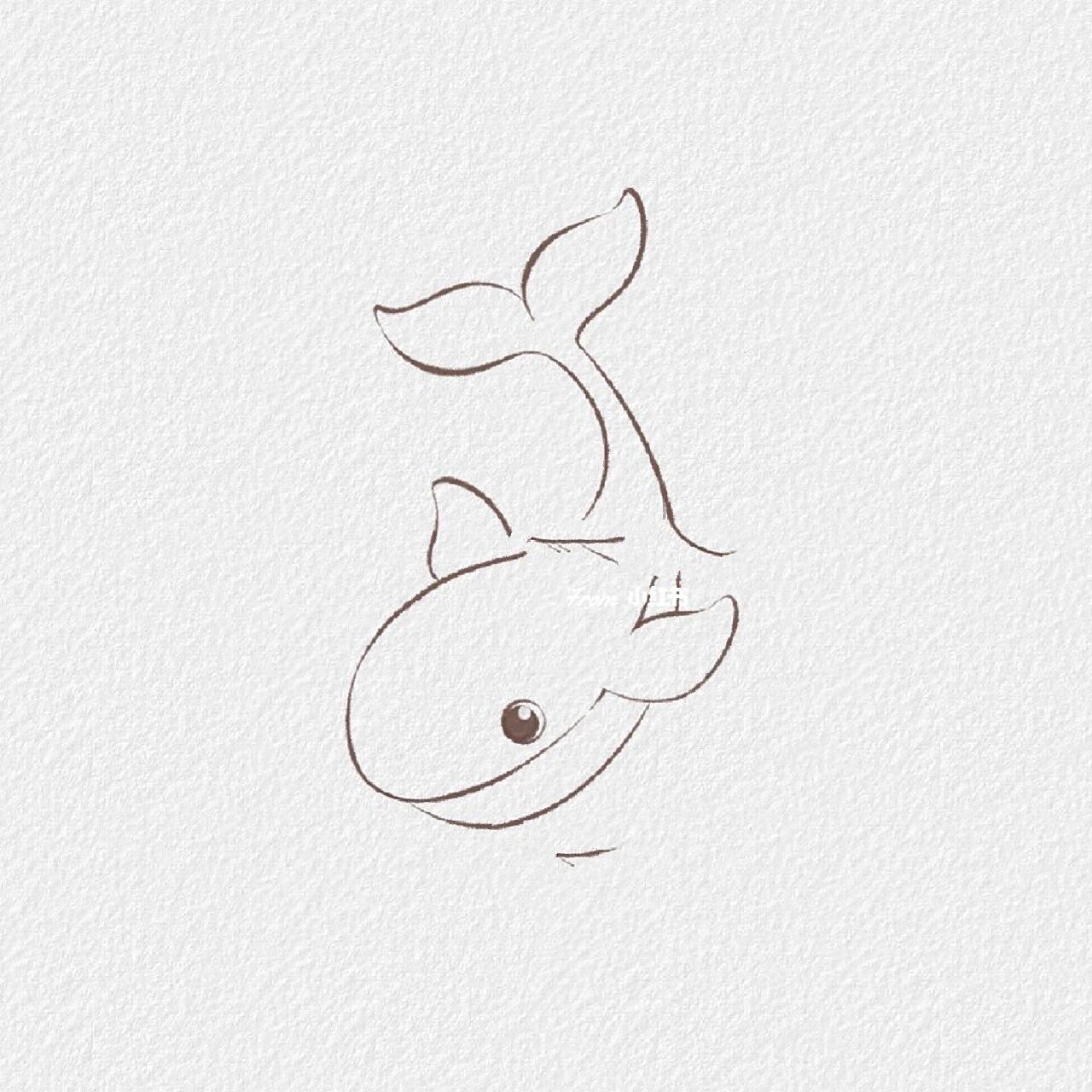 简笔画附过程 | 治愈系绘画 | 鲸鱼 奇幻的海洋生物,海底世界的鲸鱼