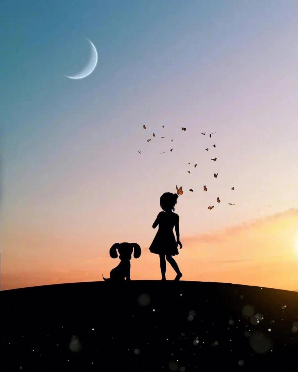 情感治愈心灵唯美图片 时间会治愈一切,请给时间一点时间