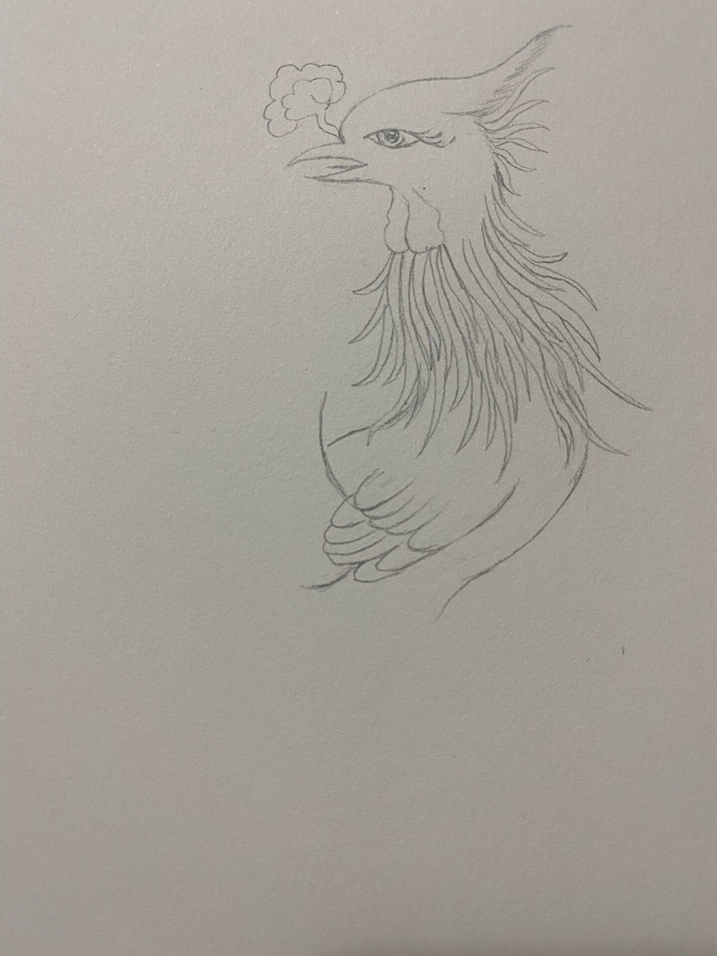 百鸟朝凤 凤穿牡丹