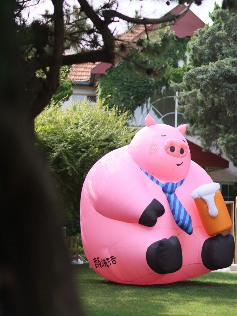 被pink小猪可爱到了!好像抱回家啊啊啊 真的是要被小粉猪萌化了!