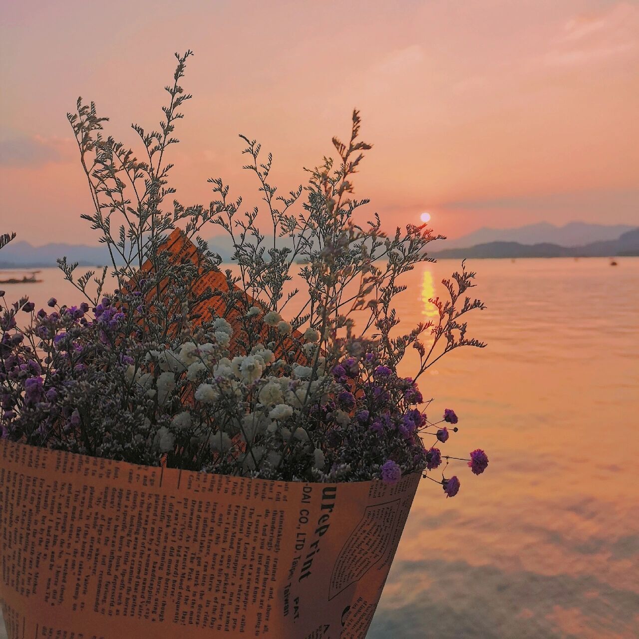 背景图高级感ins风95 分享自己拍的一些照片,可作背景图