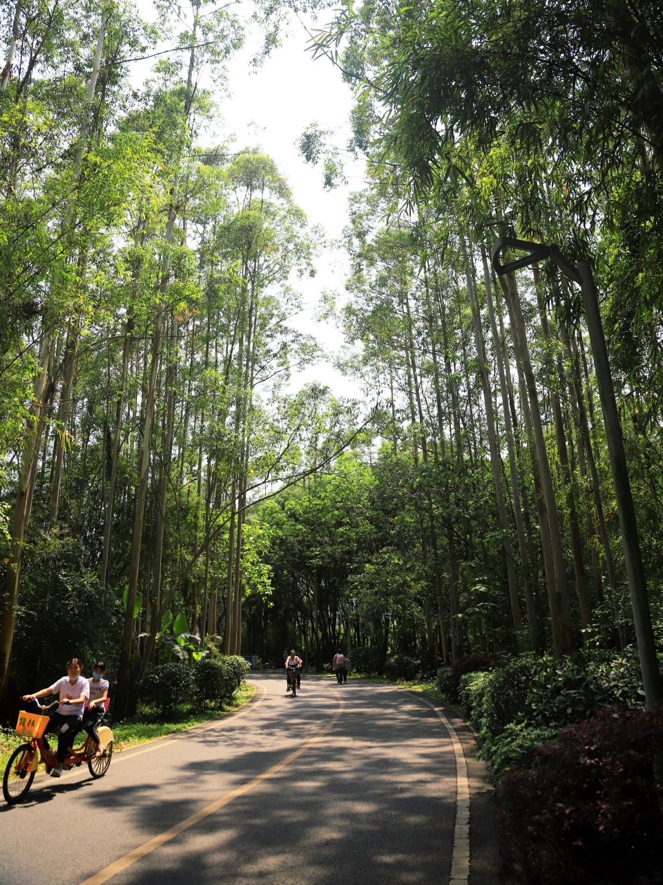 广东花都湖国家湿地公园 地点:广州市花都区新华路104号广东花都湖