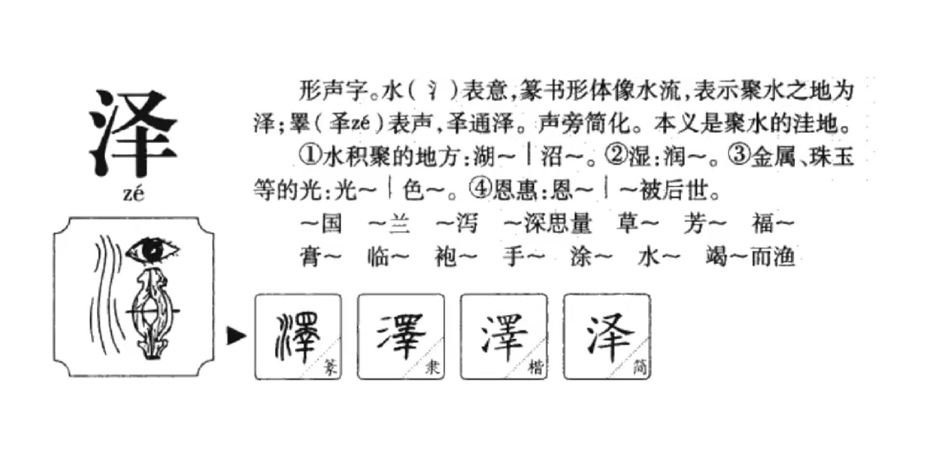 姓名学-"泽"字     分析一个字的原始含义,需要参考繁体字,"澤"字,阴