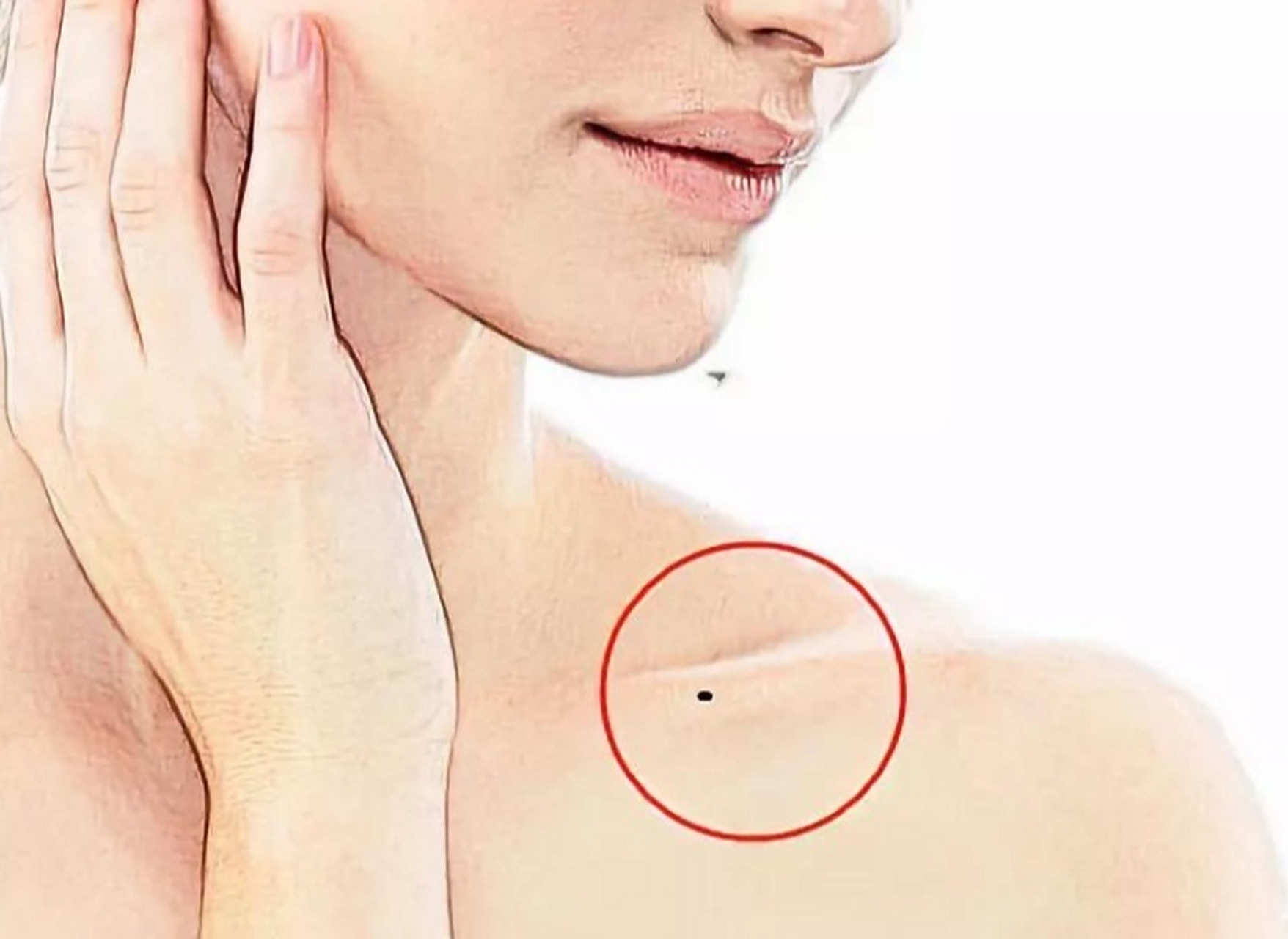 锁骨有痣代表着什么 锁骨长痣: 锁骨上长痣的人,在社交场合非常活跃