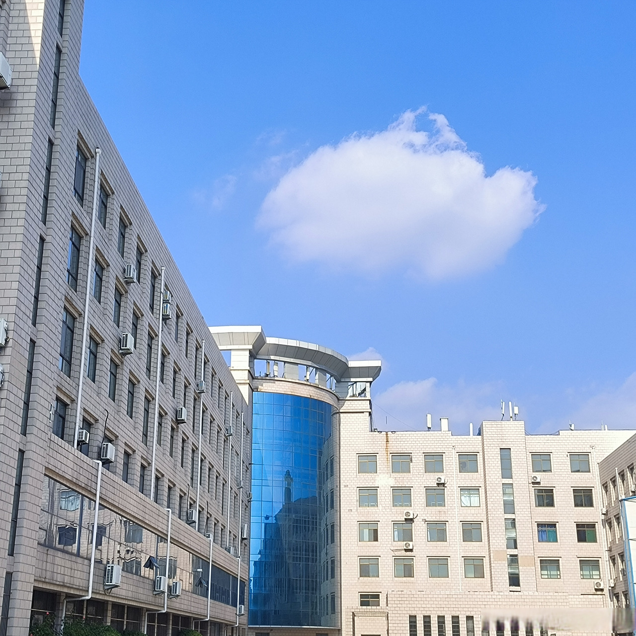 校园随手拍# #滨职剪影##滨州职业学院# 向前看脚步不停别人诋毁你的