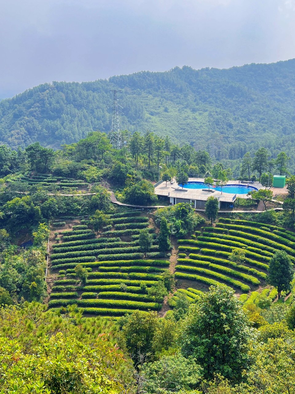 江门鹤山茶山7215亲子一日游   好推荐60156015 广佛周边