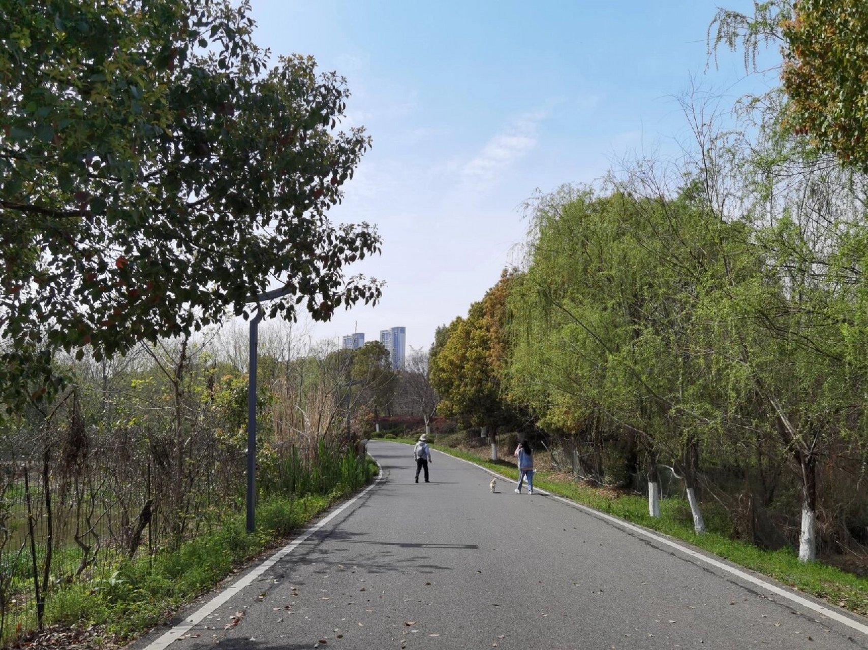 武汉后官湖湿地公园,位于武汉市蔡甸区后官湖畔,占地总面积约530公顷