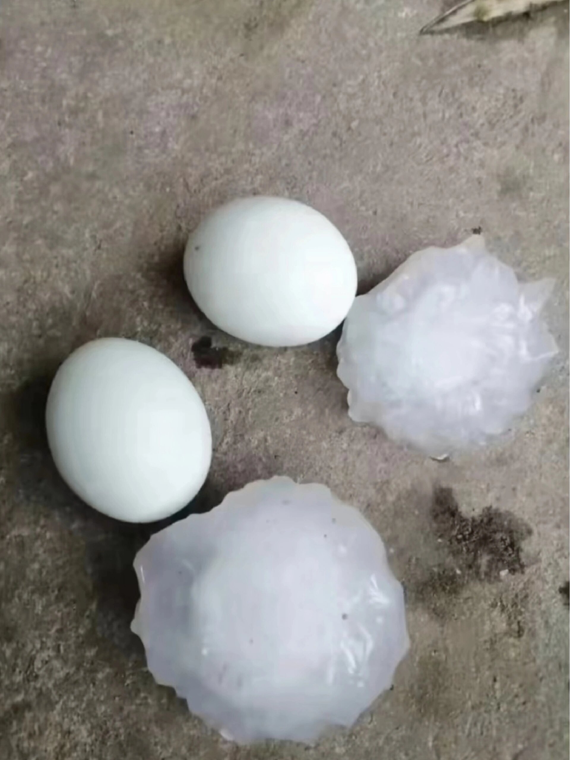 给大家看看江西的特大冰雹060606