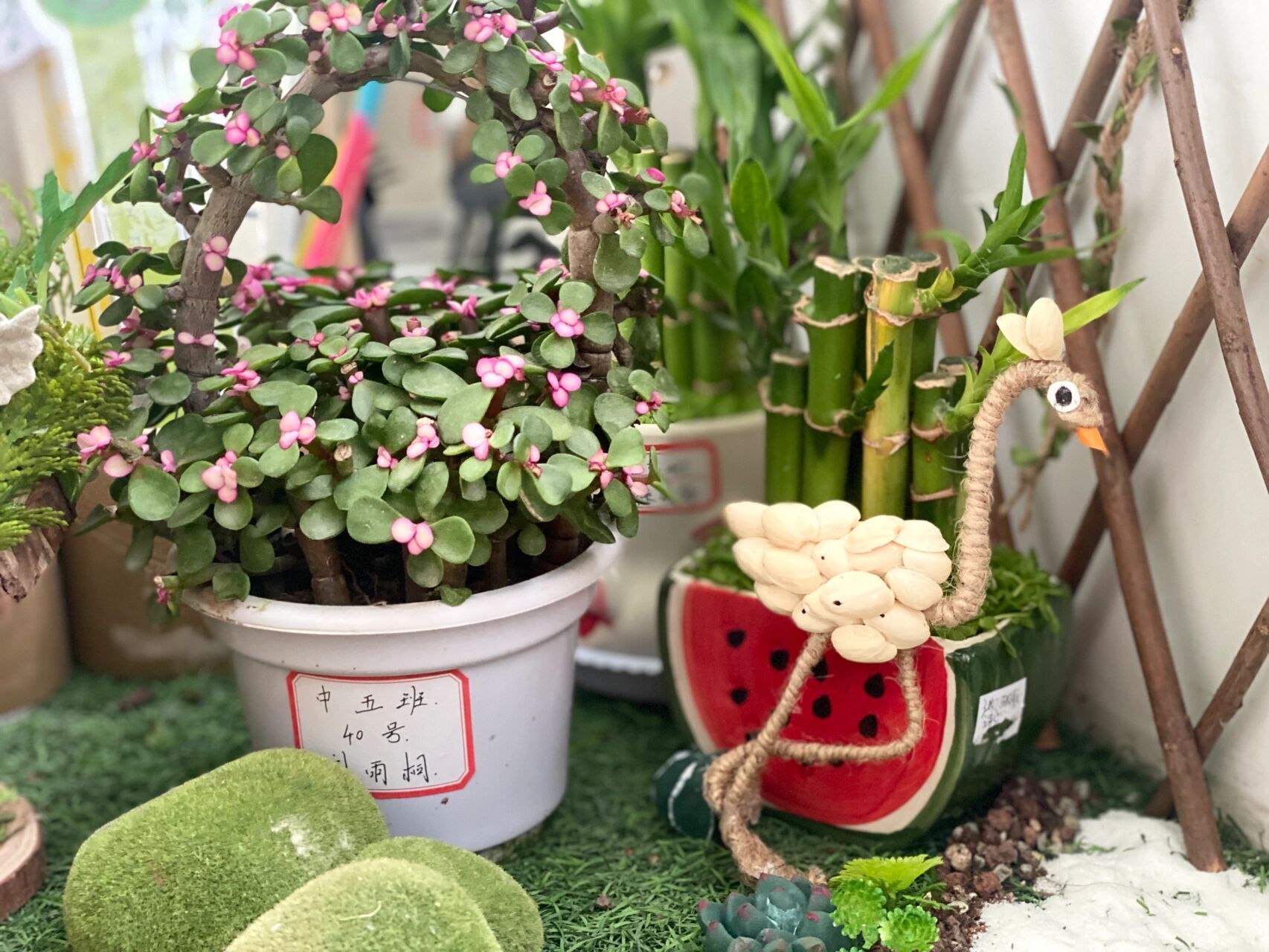 幼儿园情境创设——自然角 幼儿园微景观～自然角 有些植物是盆栽00