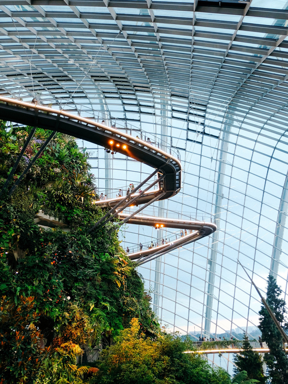 星耀樟宜7515把森林,瀑布搬进了机场7615美呆了 96如果将全