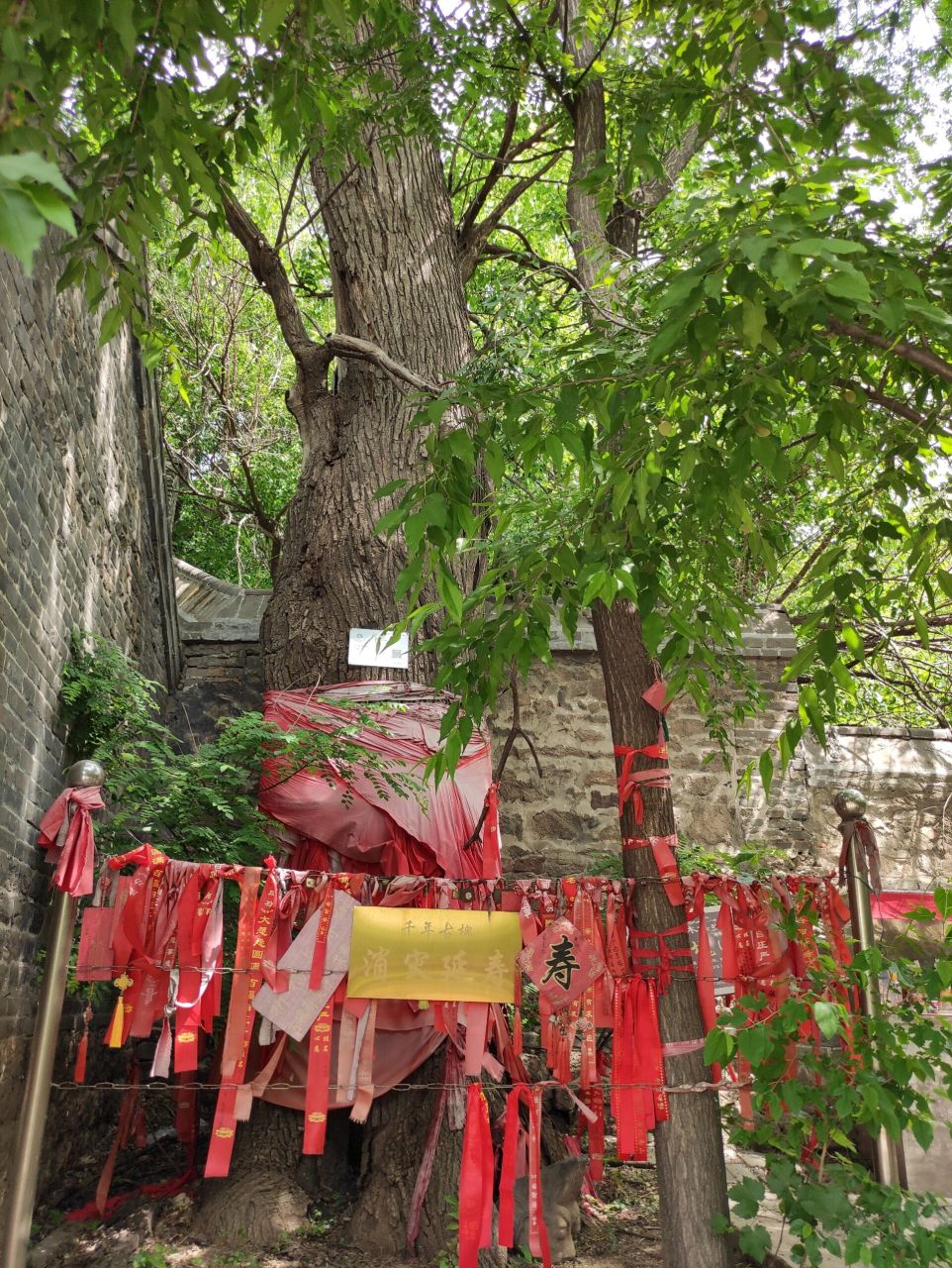 辽阳古寺~首山清风寺 清风寺太值得一游啦,古树参天,庄严又清静,心情