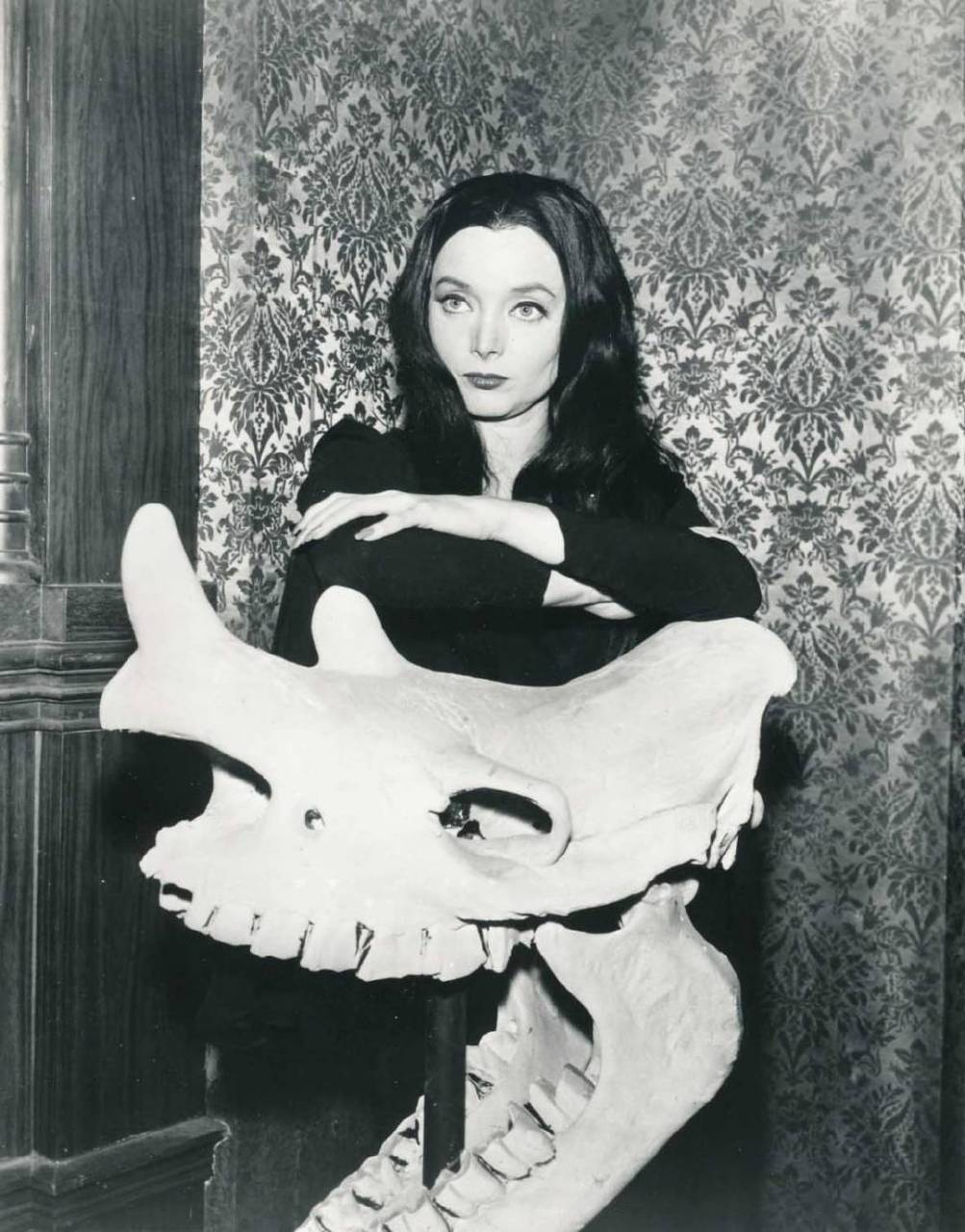 carolyn jones as morticia addams /1964版《亚当斯一家》