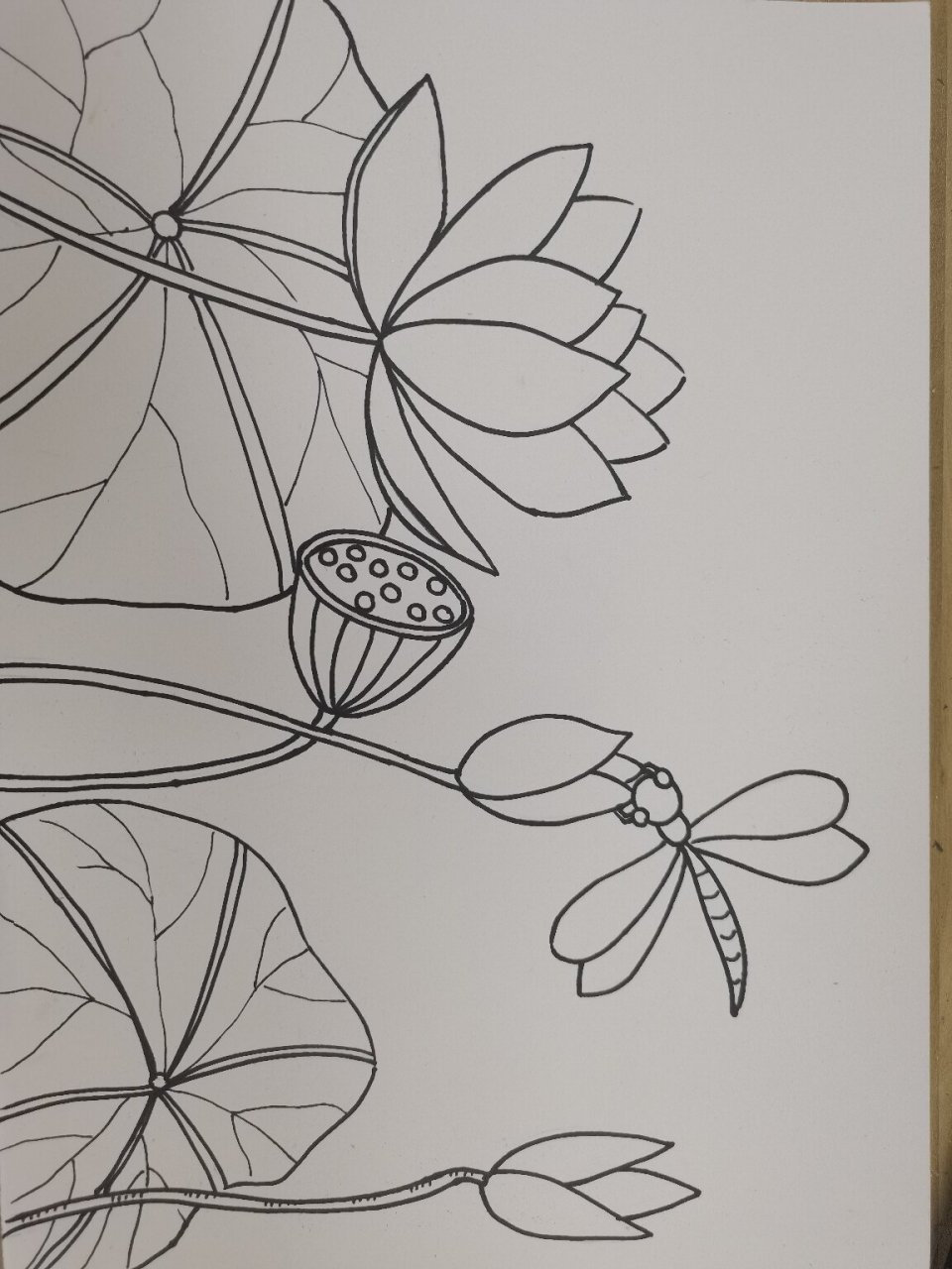 小池(古诗) 古诗绘画