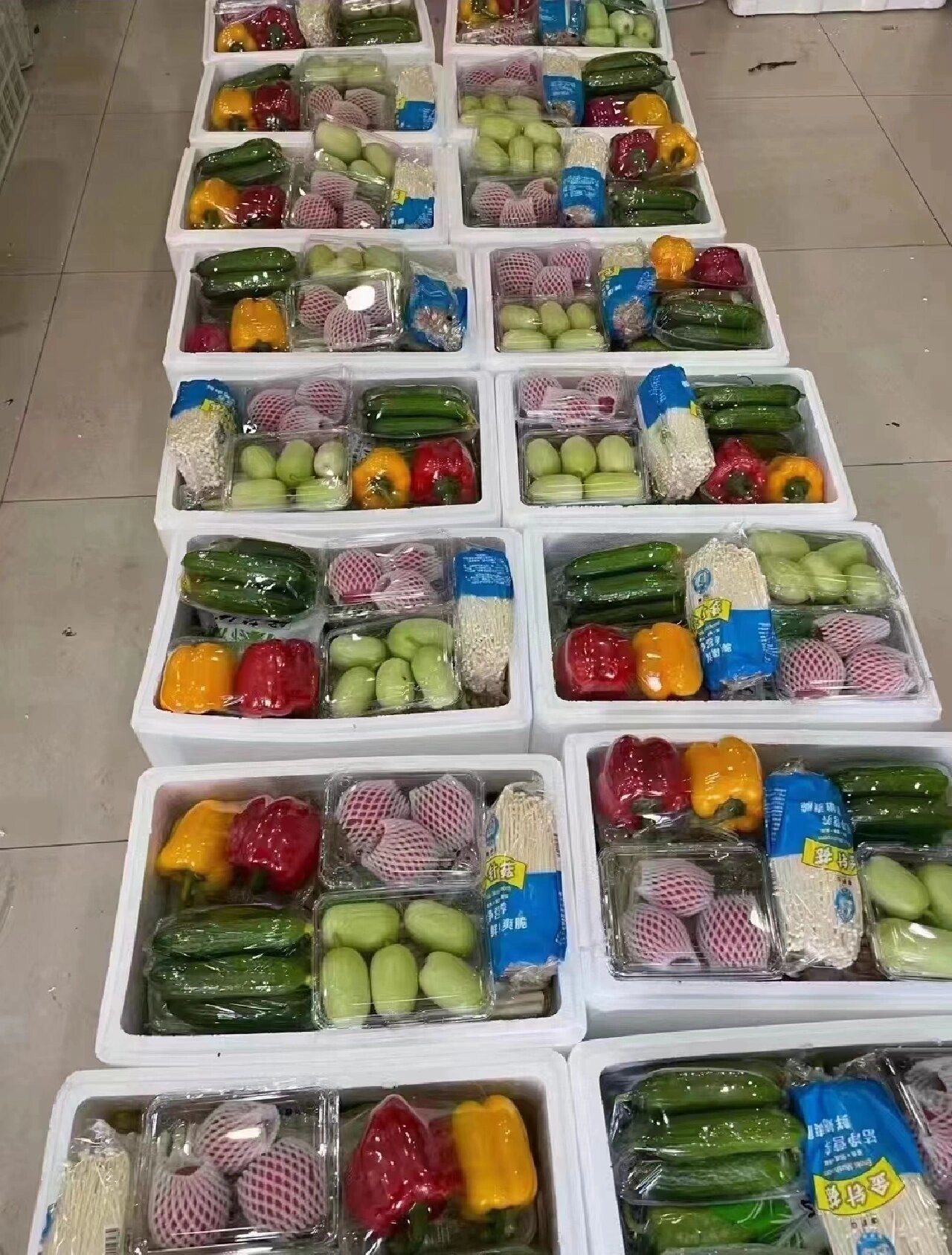 送 大礼包,"蔬菜有礼