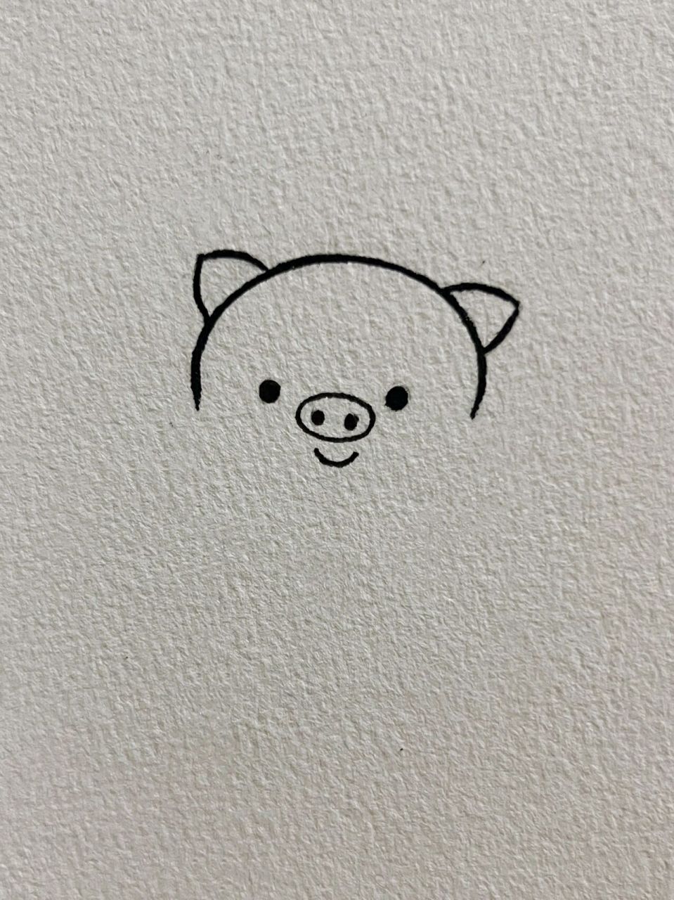 每日简笔画教程63|超可爱的猪猪简笔画