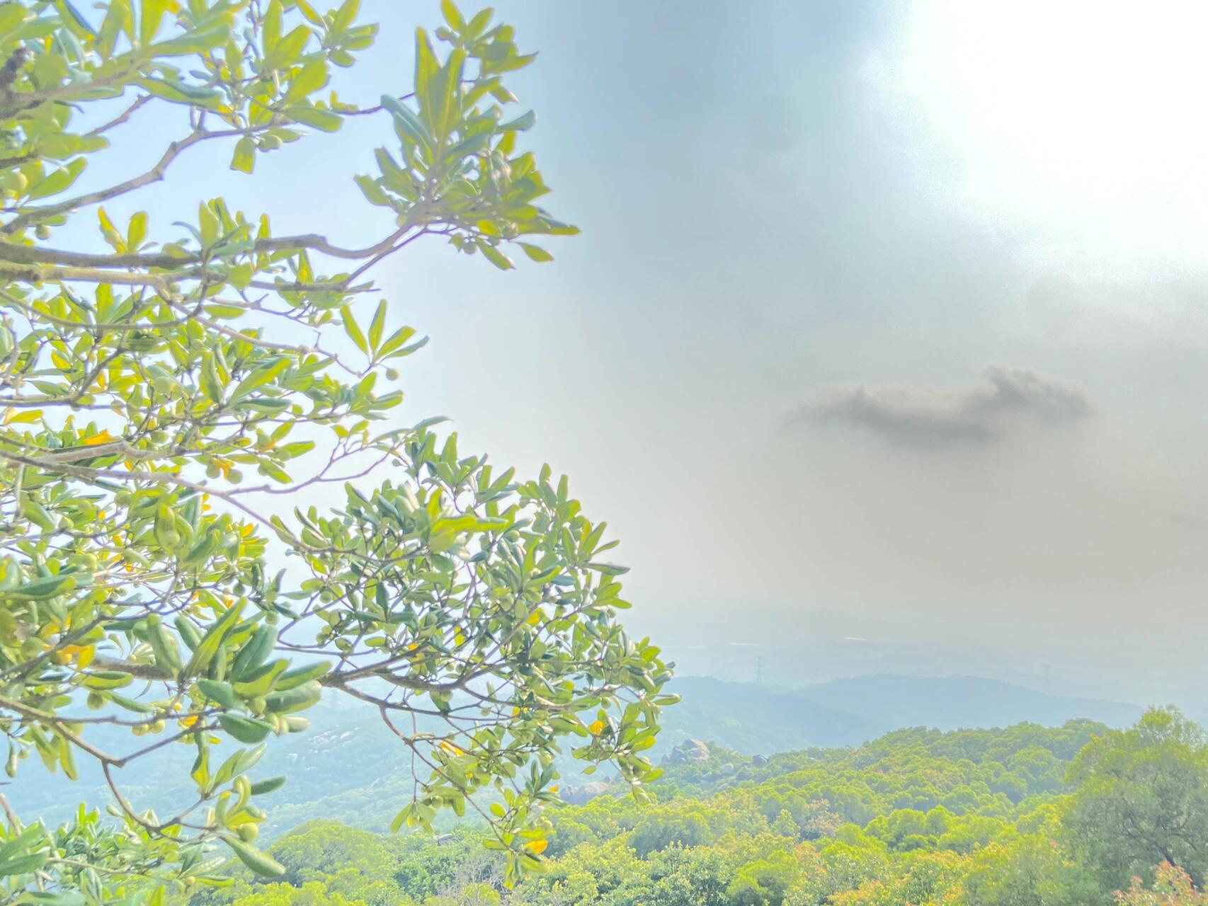 惠来 百花尖古寺起厝娘,1000层阶梯 百花尖娘有位起厝娘在山的最顶端