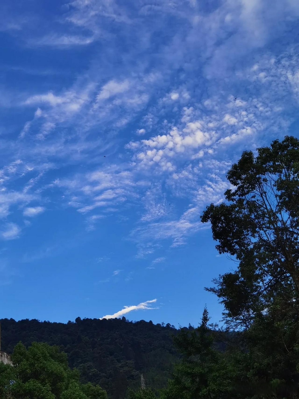 夏日摄影大赛   此刻,峨眉山的天空蔚蓝洁净,白云朵朵,变幻莫测,一个