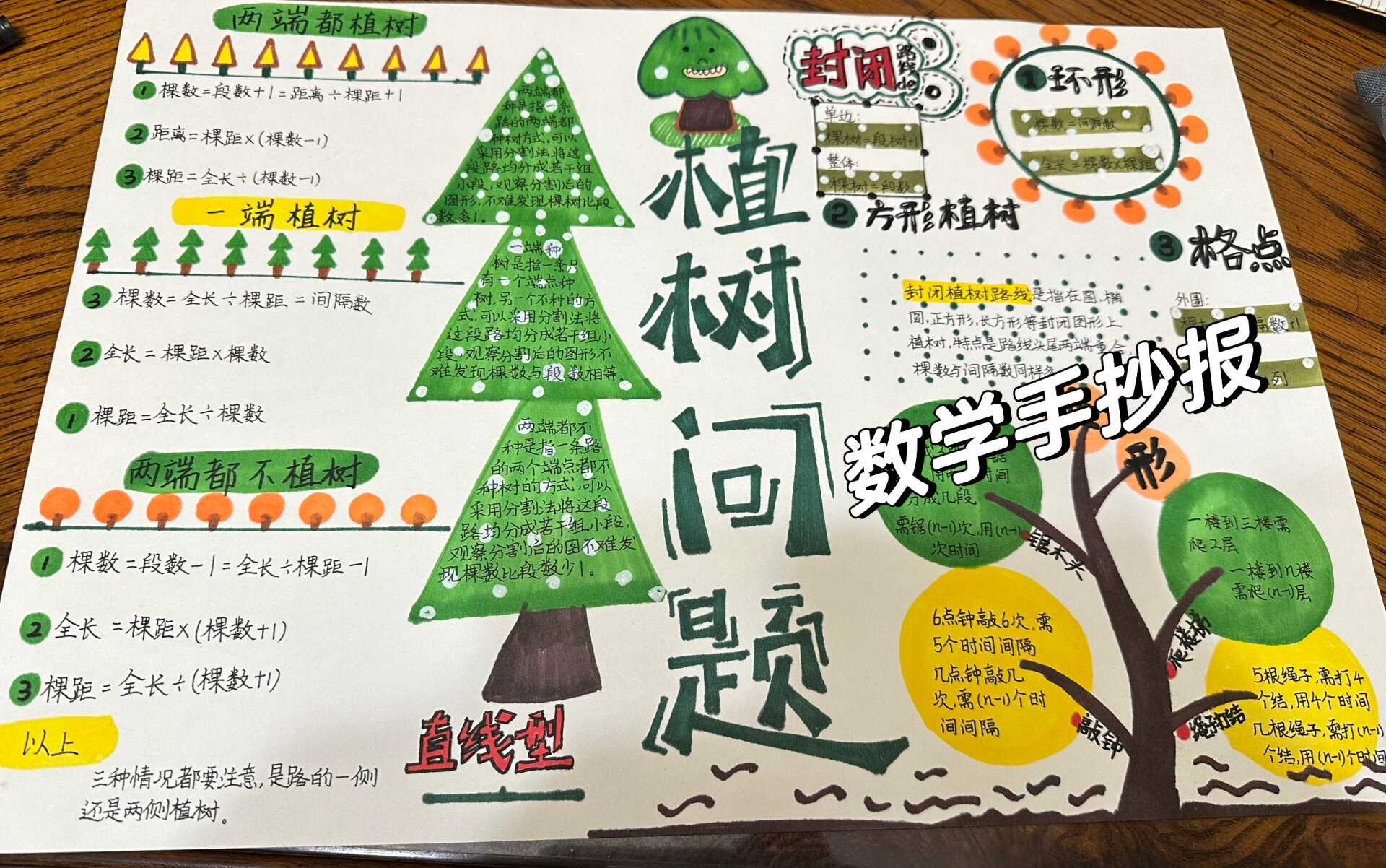 年级数学手抄报 五年级小学生的数学作业 数学手抄报 植树问题手抄报