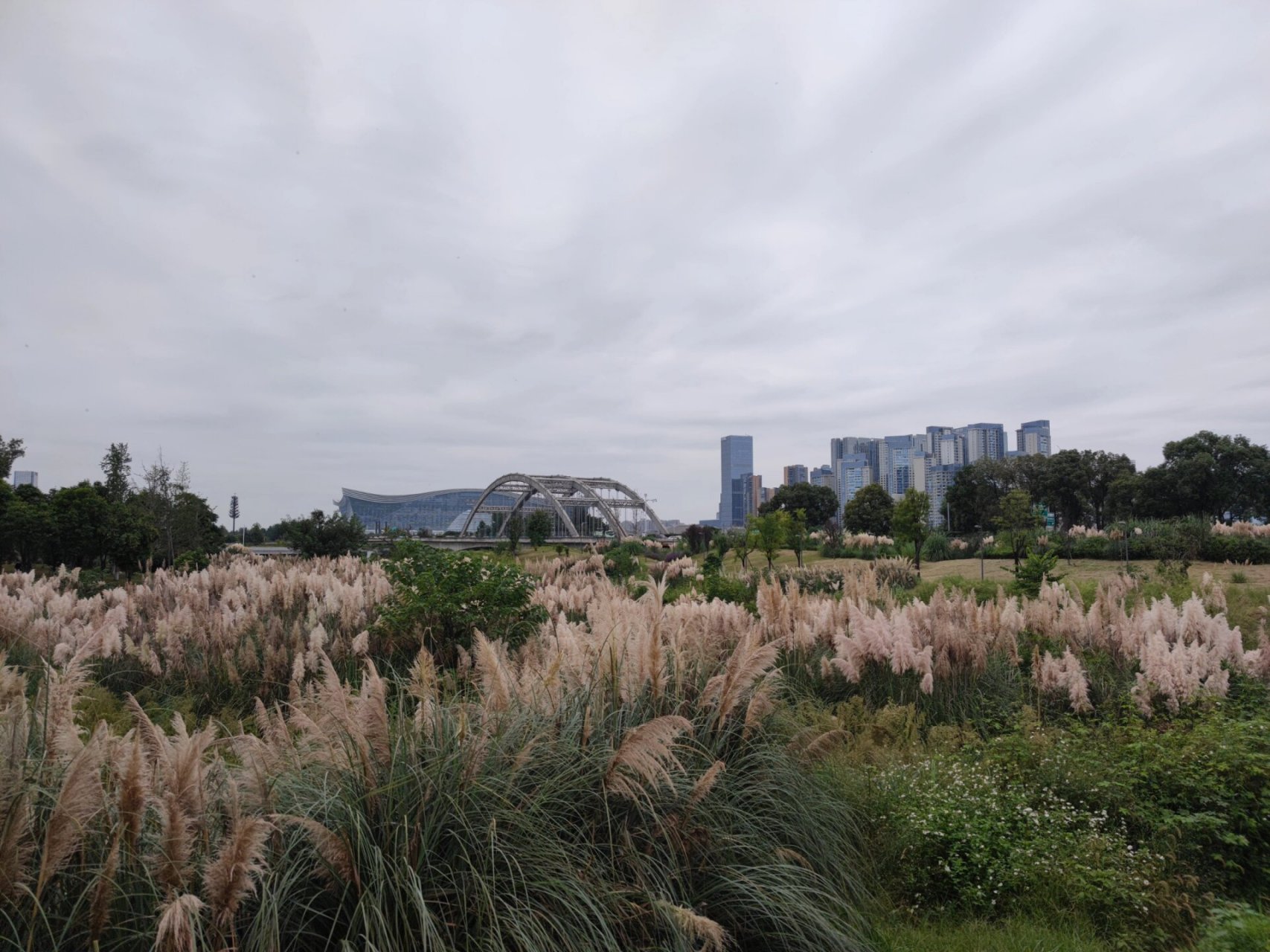 中和湿地公园 10月2号去的,从2号门进,很适合拍照