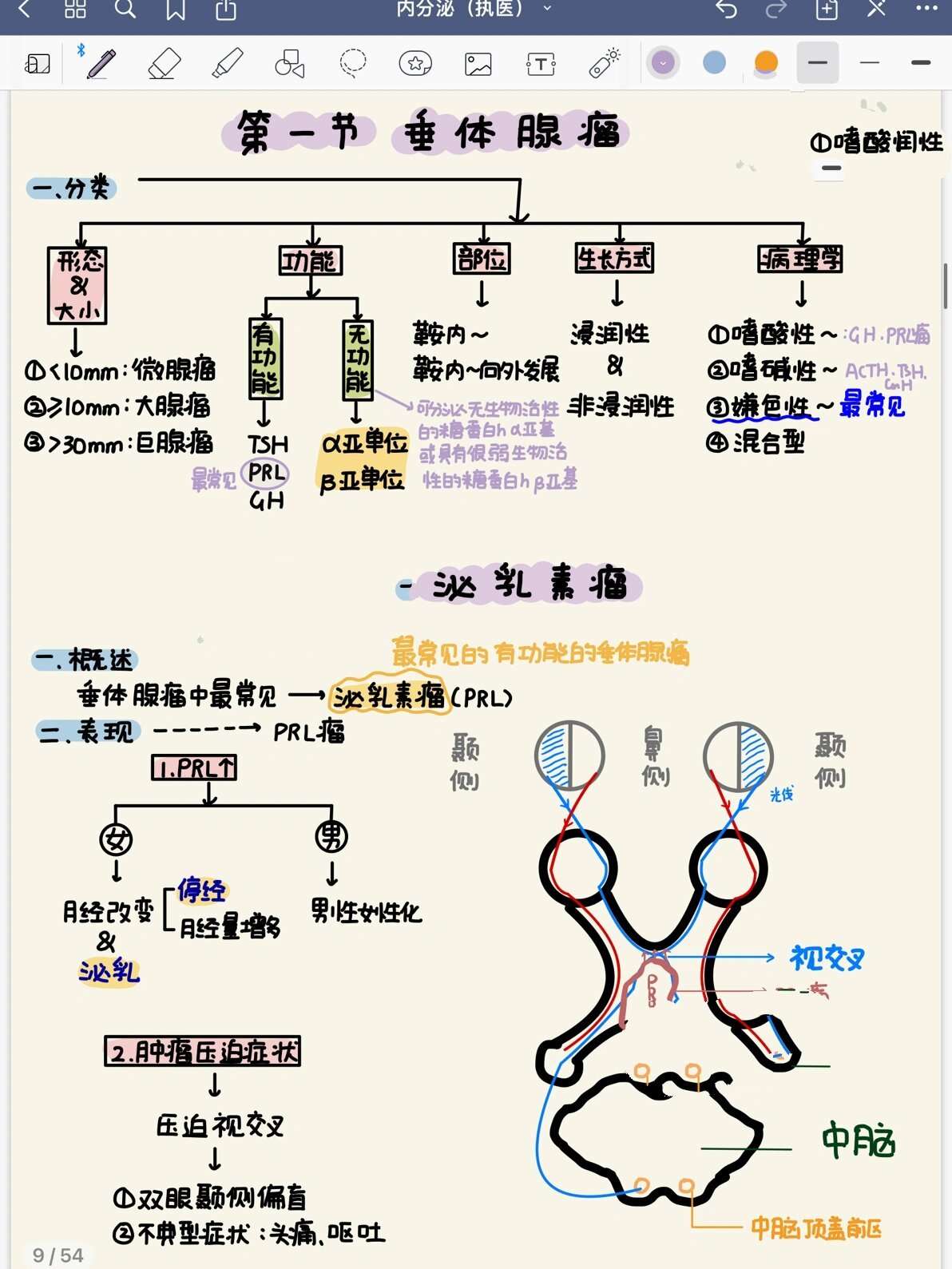 丘脑下部的生理功能图片