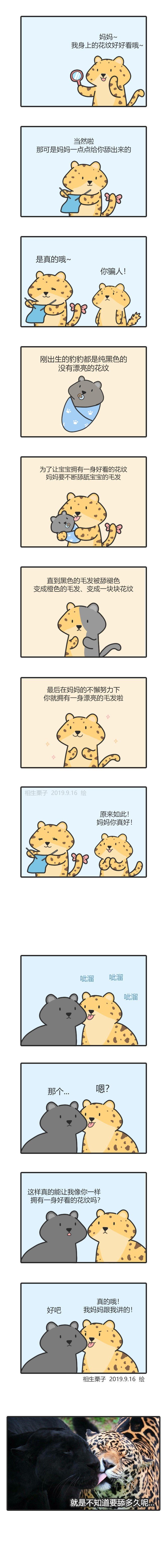 万物皆可cp,超可爱  画师:相生栗子   #百家号星火计划##高考进行时