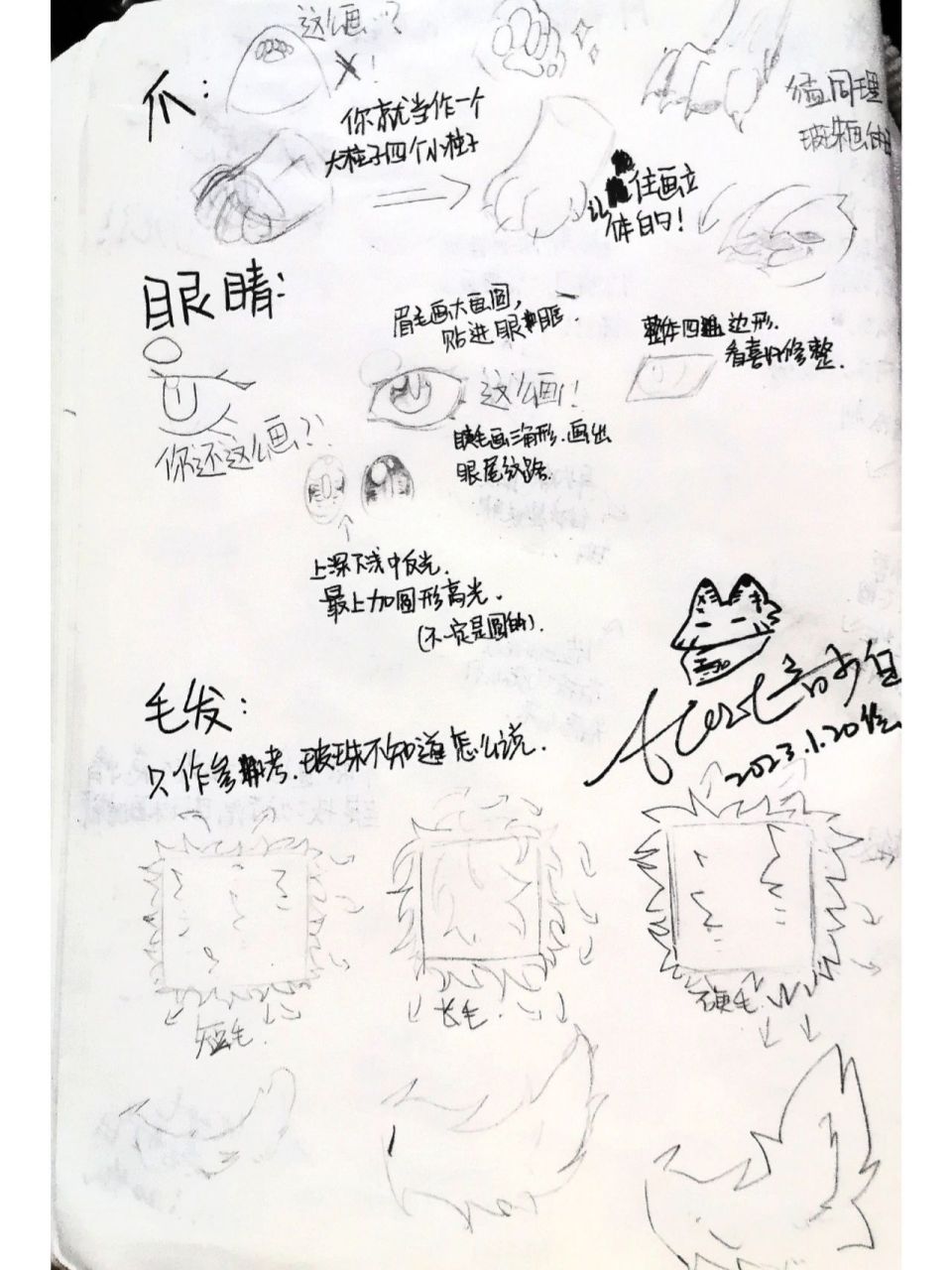 教程!如何画好兽设?