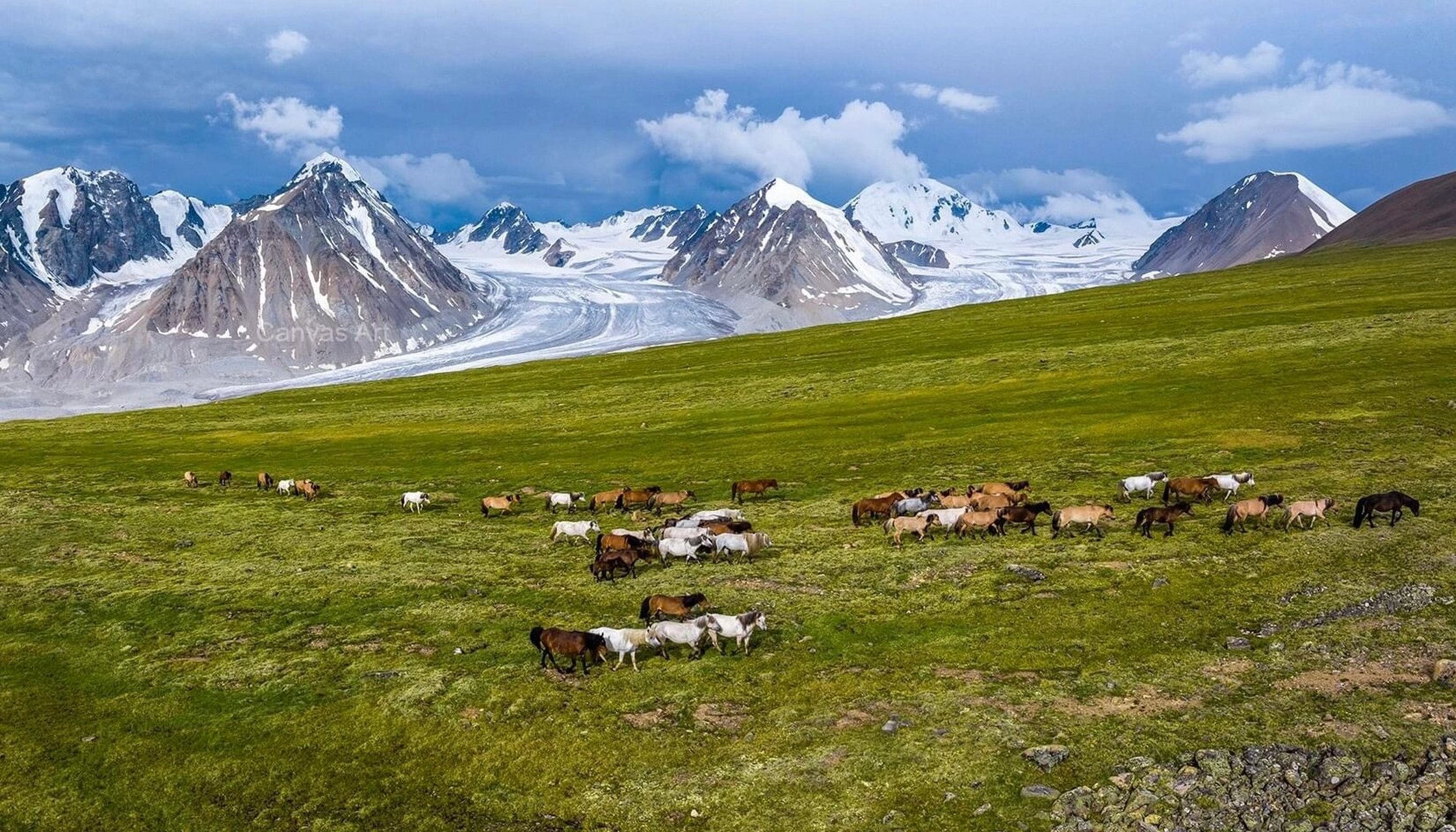 蒙古9899高原最高峰 蒙古国家圣山阿尔泰5峰 蒙古阿尔泰山脉的