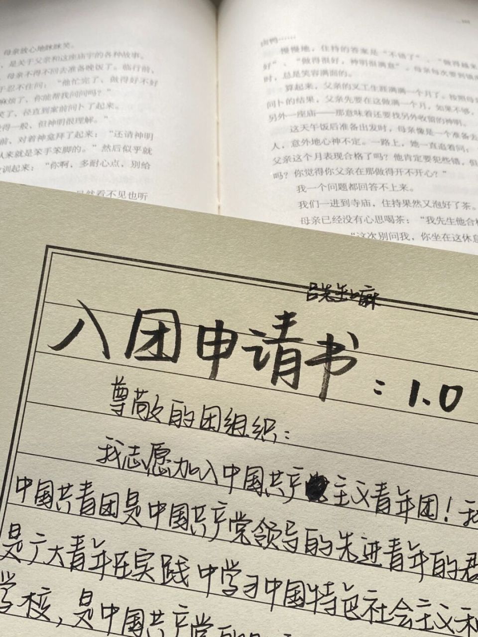 0 准备出这个系列 可以多多收藏起来啦 #大学入团申请书# #入团申请书
