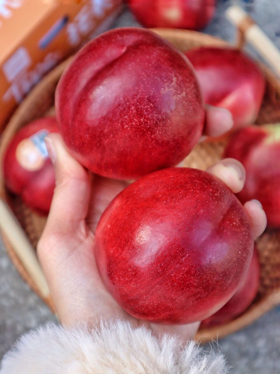 宝藏水果|脆甜大油桃609915满满桃香超浓郁6015 这个季节吃