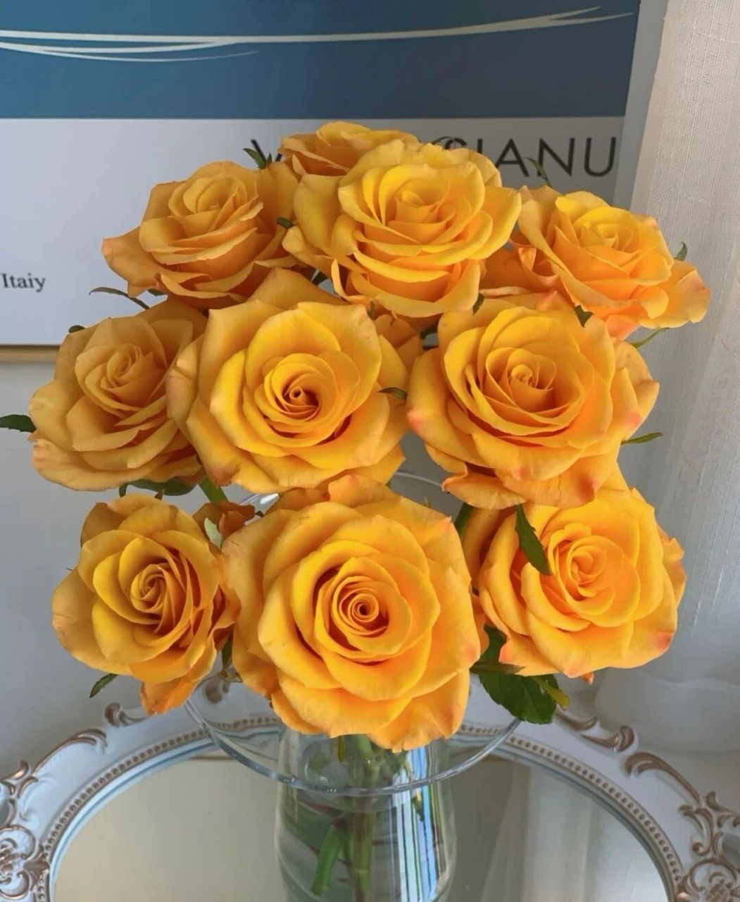 每天认识一种花--辉煌玫瑰 辉煌玫瑰 橙黄色系玫瑰,一直是最爱 给人