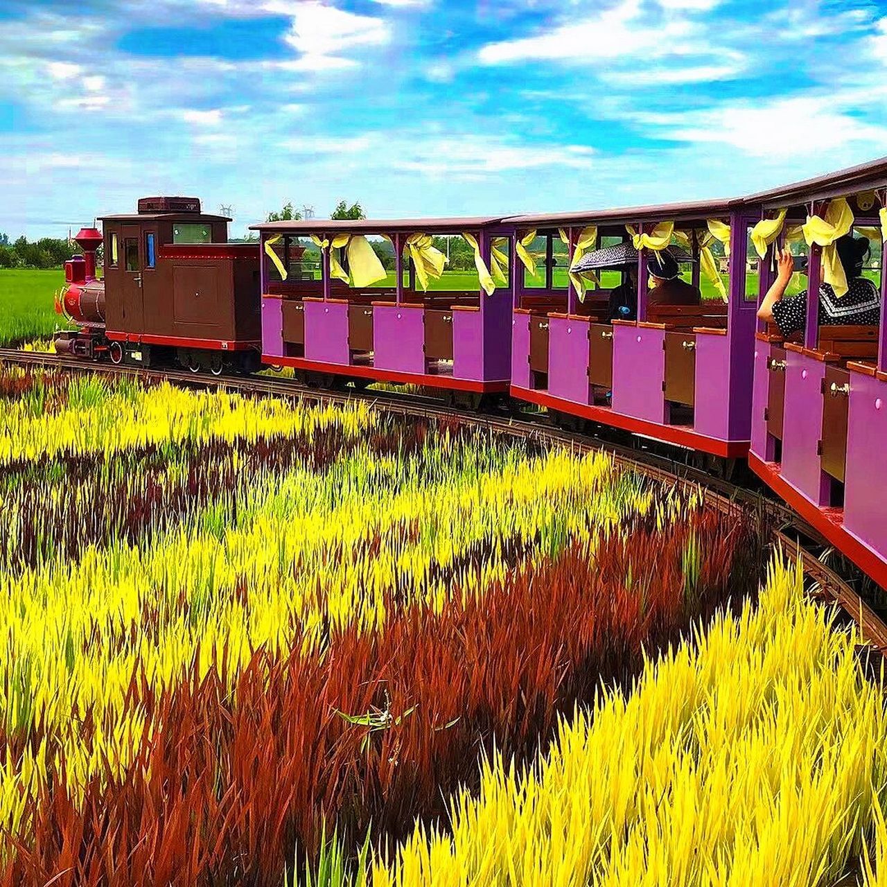 沈阳稻梦空间5月28日开园啦|最全旅游攻略 92地址:沈北新区兴隆台