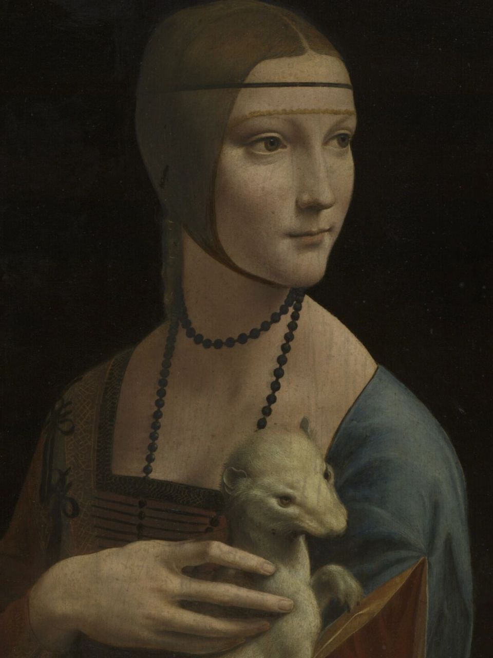 的慰藉|仅次蒙娜丽莎的肖像 《抱银鼠的女子》lady with an ermine