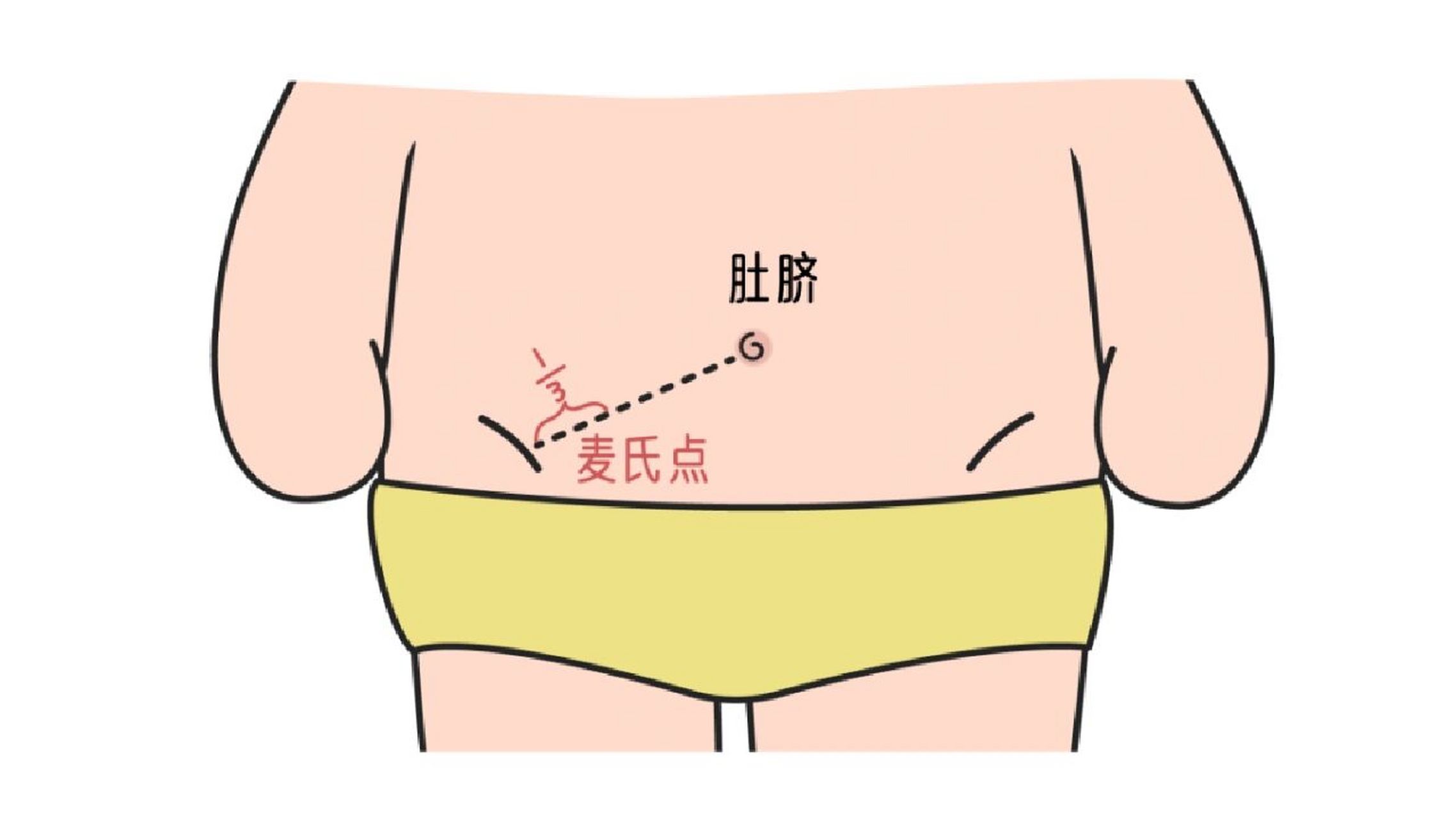 麦氏点准确位置图图片