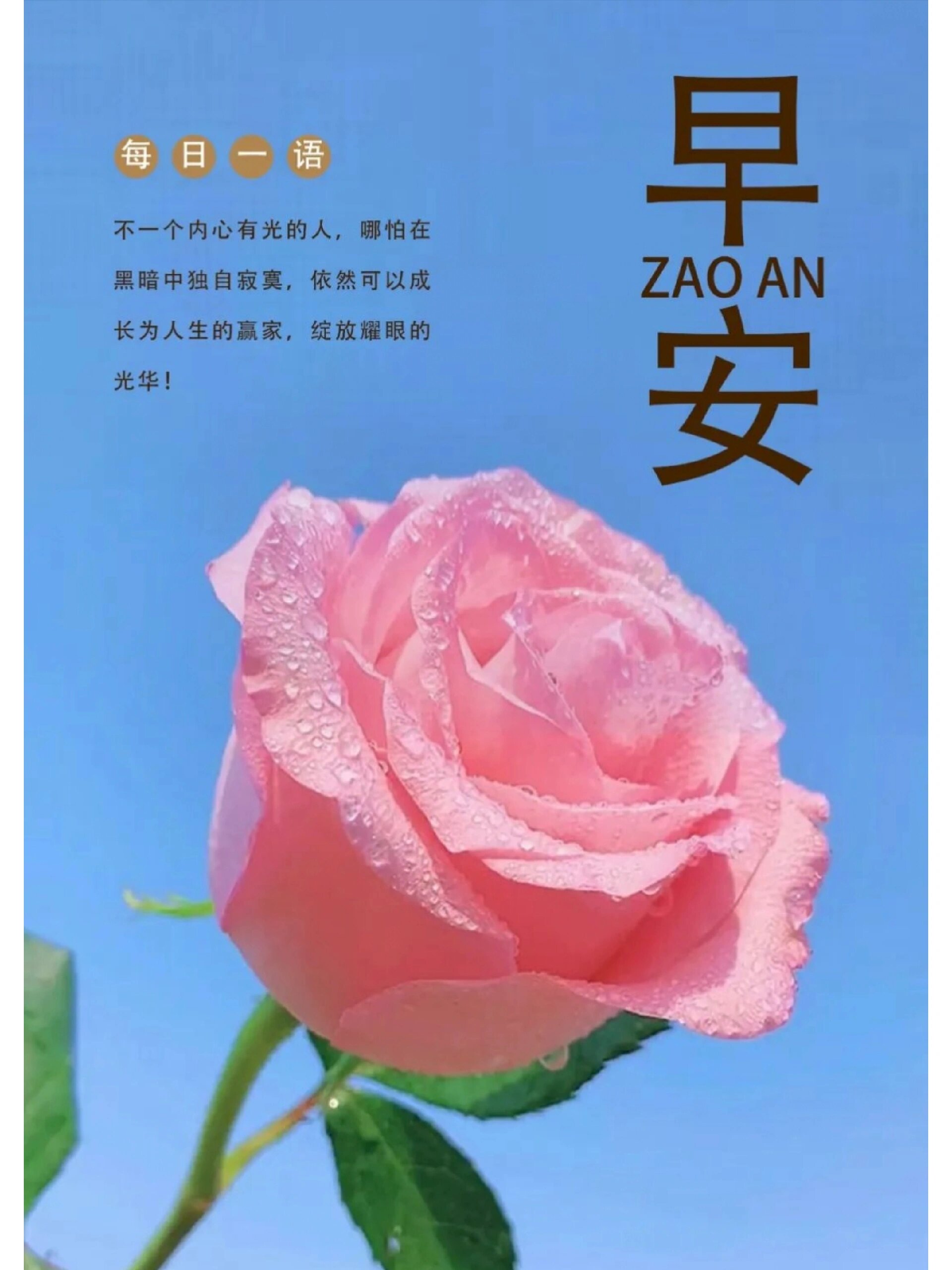 早安正能量文案#朋友圈早安文案