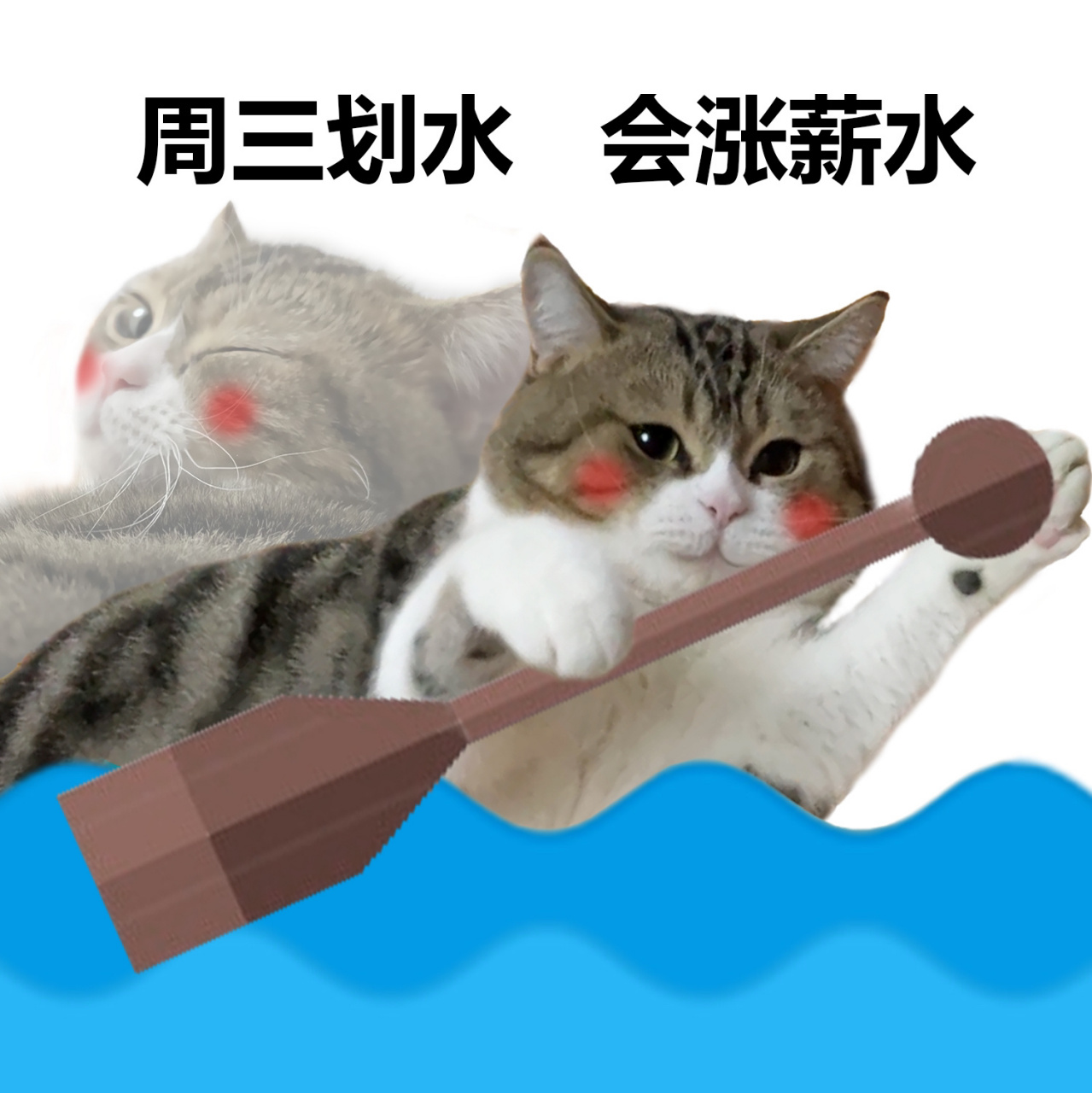 周三划水,会涨薪水 打工人表情包 今天周三,坚持就是胜利78