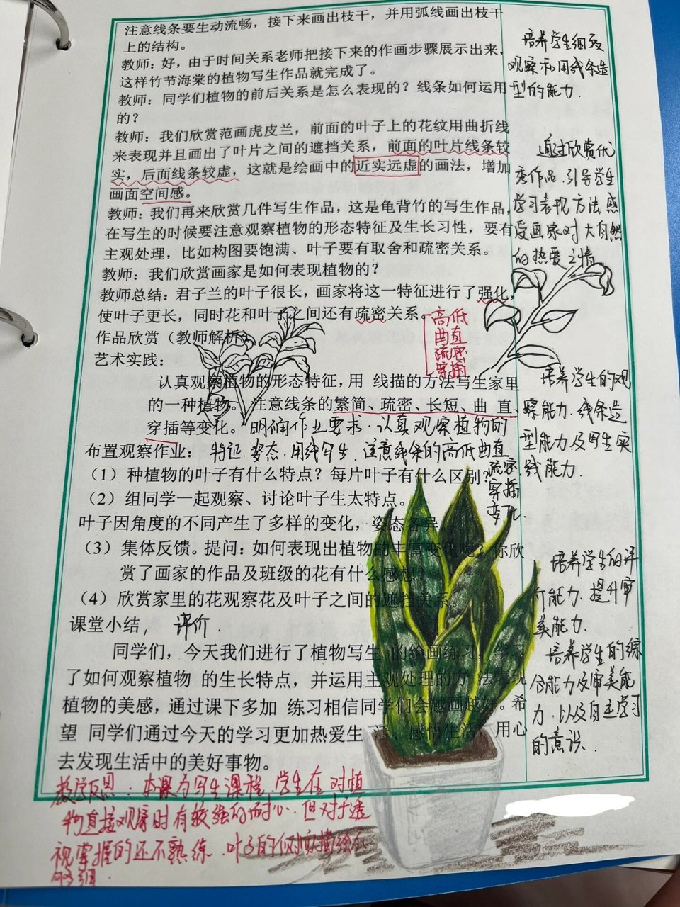 植物写生美术教案图片