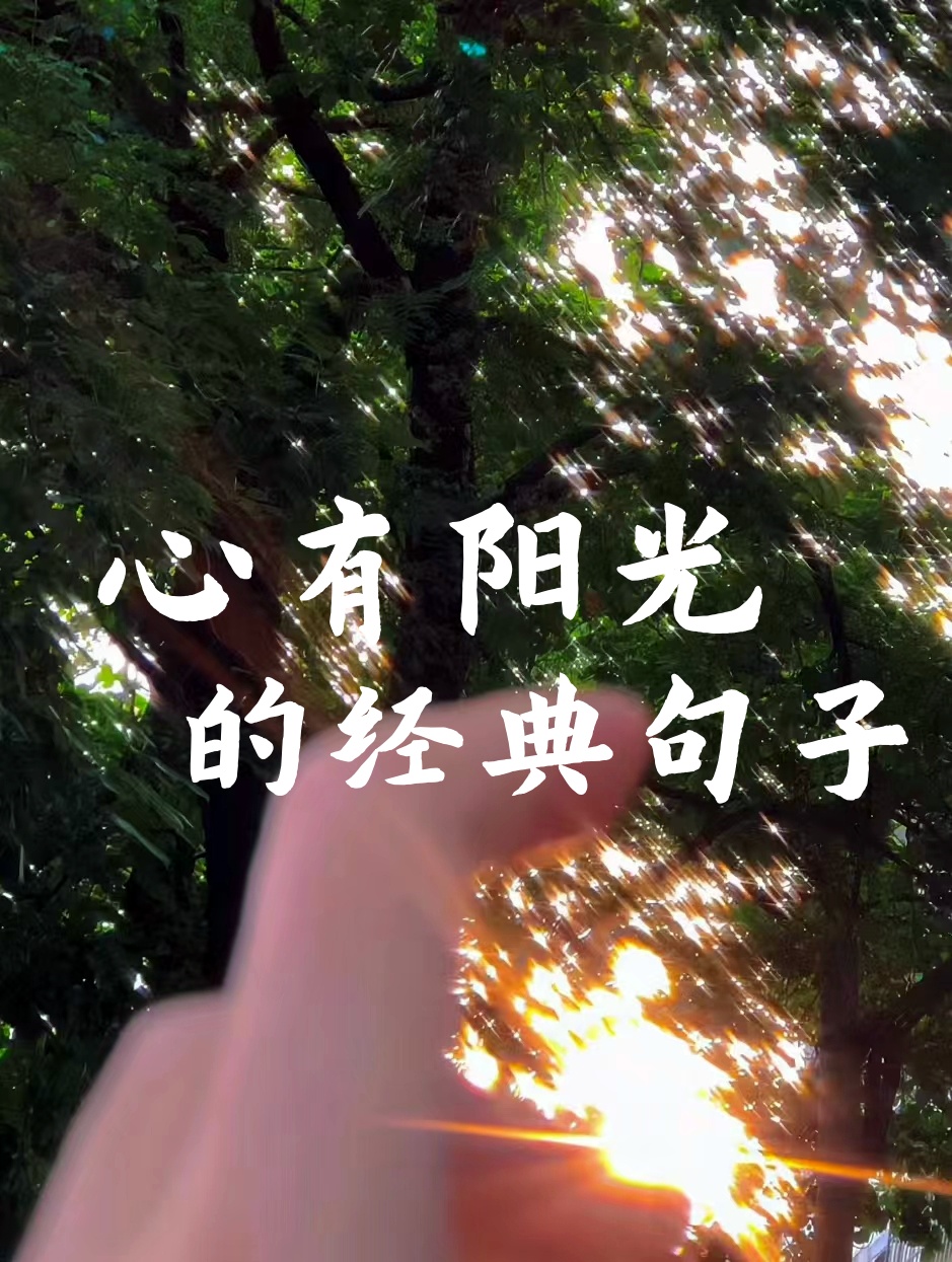 心有阳光的经典句子