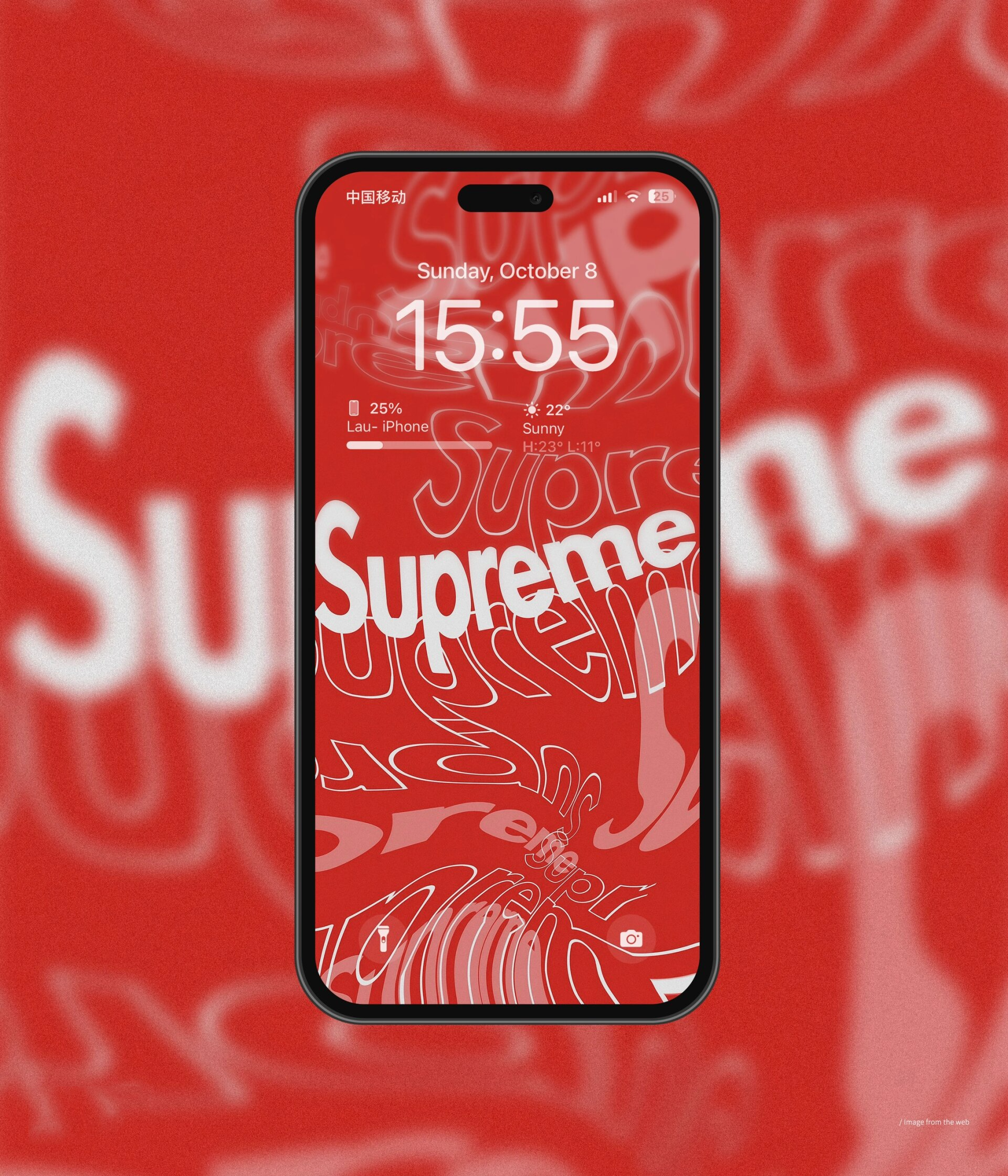 supreme中国制造标签图片