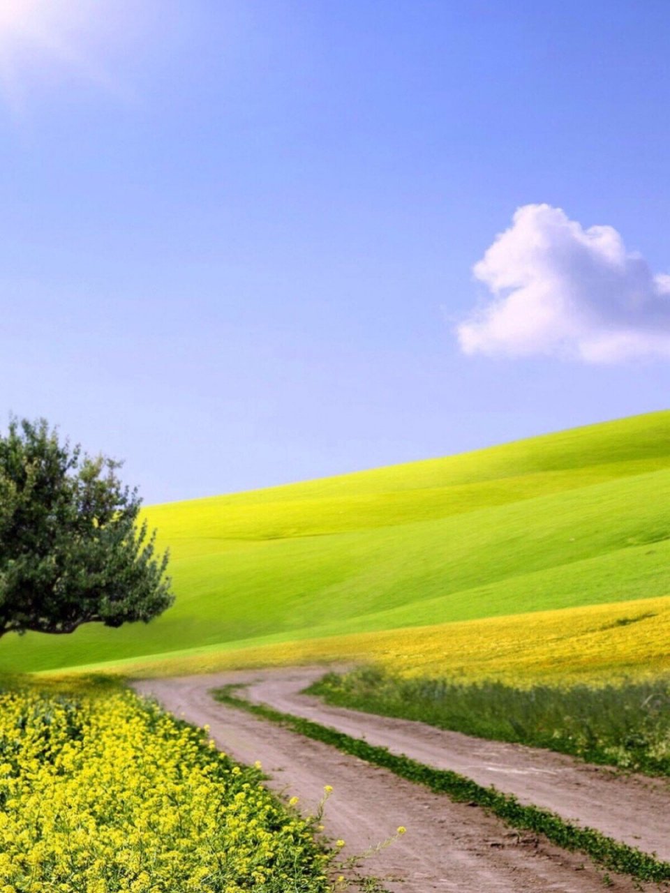 唯美 世界上美好的一切,都是来自内心7815 7815心快乐,便是