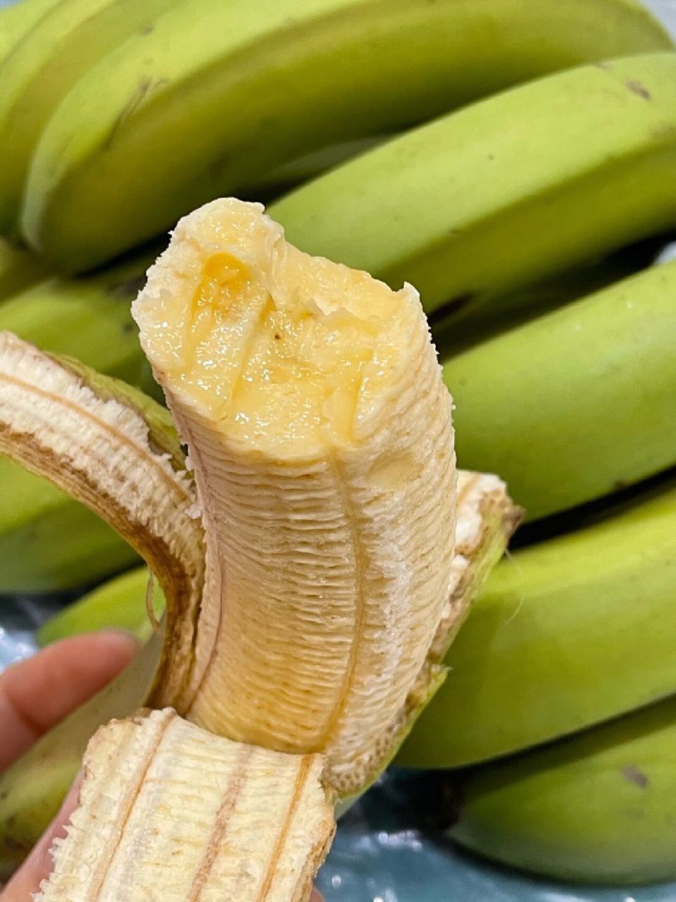 绿皮香蕉 | 能看也能吃的绿色香蕉94 94 你吃过绿皮香蕉吗?