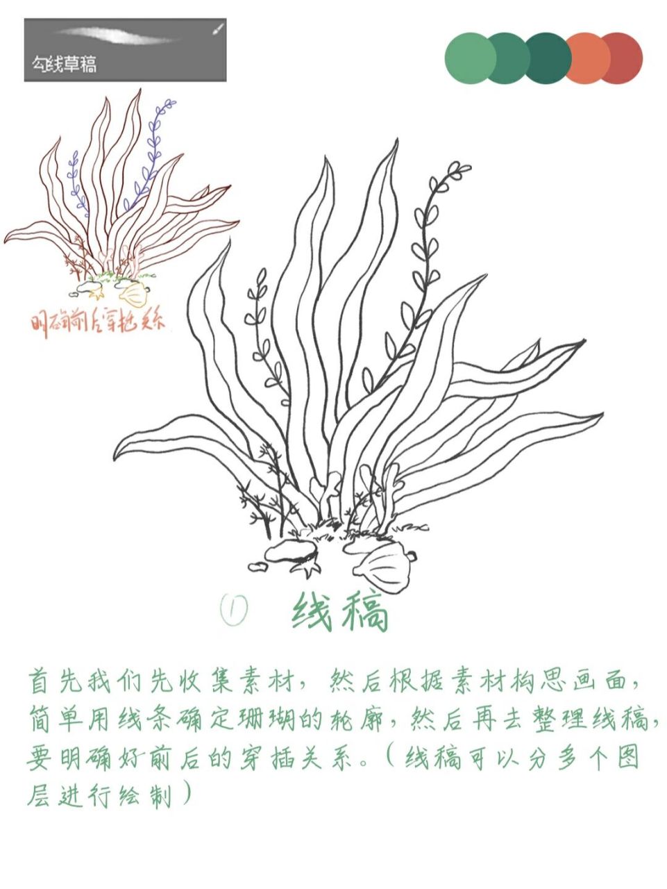 插画教程|教你画海草91(带笔刷) 上次我们画了珊瑚,今天来画海草